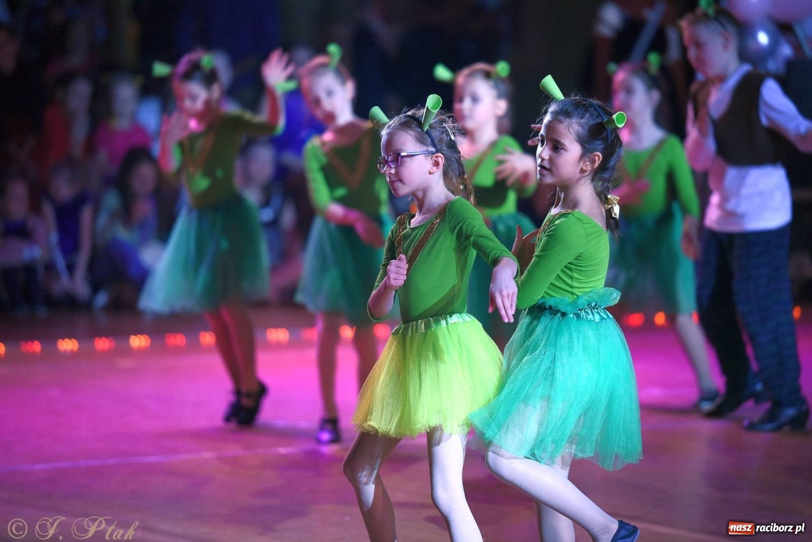 Zdjęcie w galerii na portalu naszraciborz.pl: XVI Karnawałowa Rewia Tańca w Raciborzu - dzień drugi [FOTO i WIDEO] wiadomości z regionu