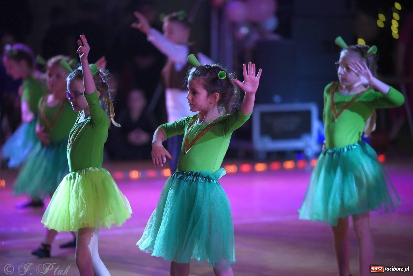 Zdjęcie w galerii na portalu naszraciborz.pl: XVI Karnawałowa Rewia Tańca w Raciborzu - dzień drugi [FOTO i WIDEO] wiadomości z regionu