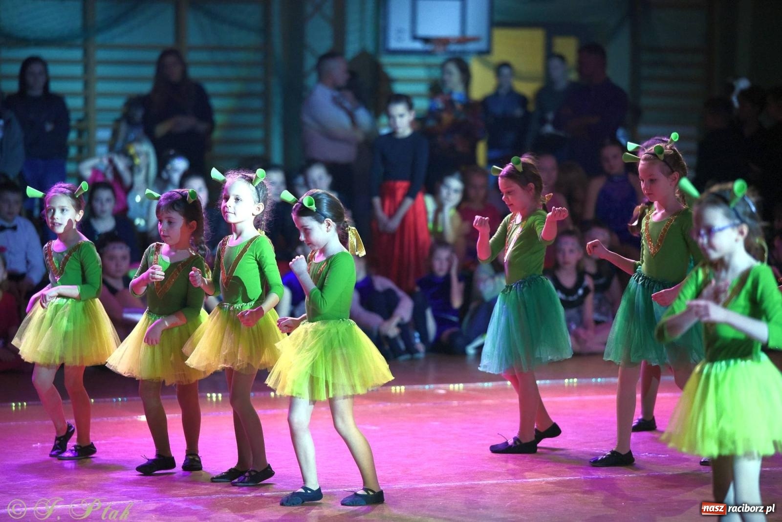 Zdjęcie w galerii na portalu naszraciborz.pl: XVI Karnawałowa Rewia Tańca w Raciborzu - dzień drugi [FOTO i WIDEO] wiadomości z regionu