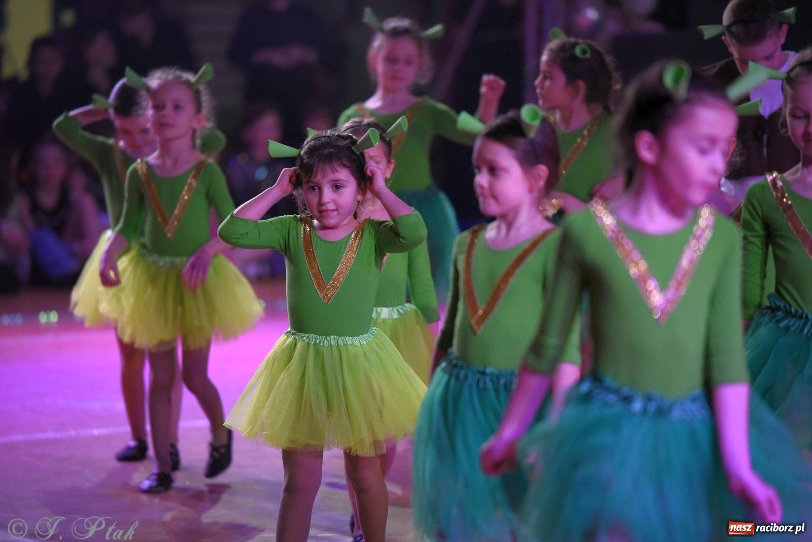 Zdjęcie w galerii na portalu naszraciborz.pl: XVI Karnawałowa Rewia Tańca w Raciborzu - dzień drugi [FOTO i WIDEO] wiadomości z regionu