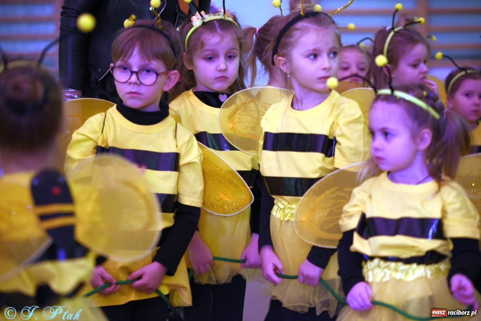 Zdjęcie w galerii na portalu naszraciborz.pl: XVI Karnawałowa Rewia Tańca w Raciborzu - dzień drugi [FOTO i WIDEO] wiadomości z regionu