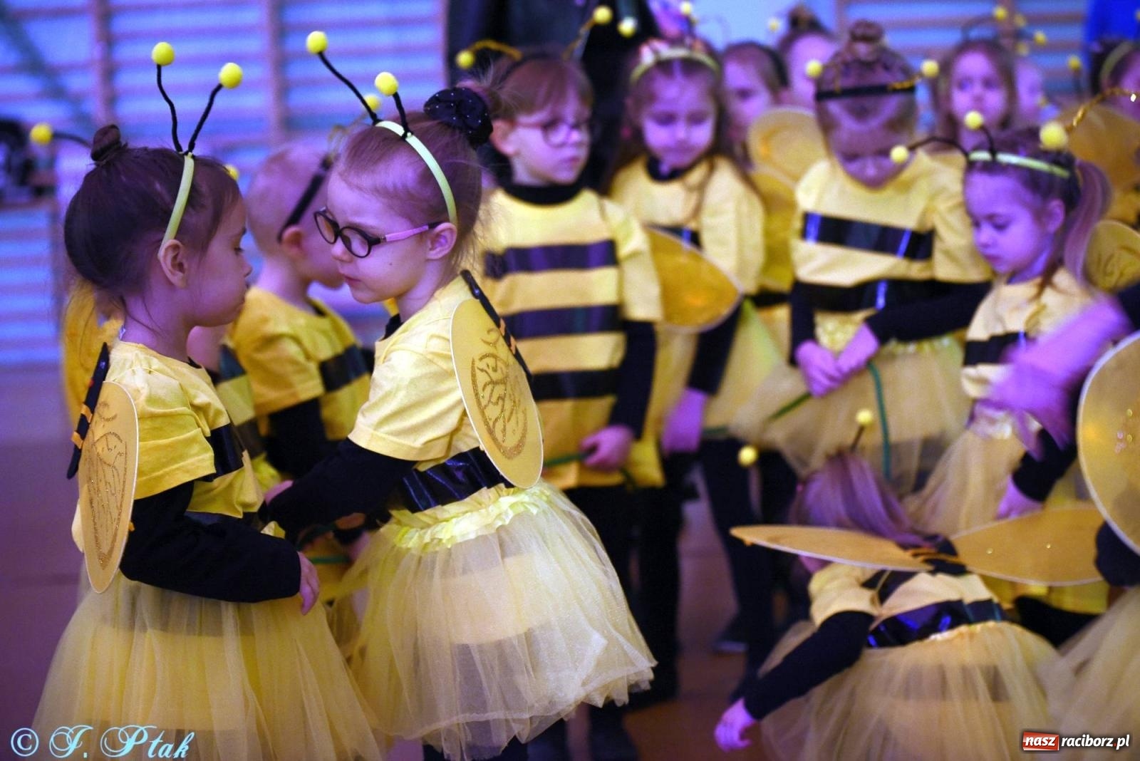 Zdjęcie w galerii na portalu naszraciborz.pl: XVI Karnawałowa Rewia Tańca w Raciborzu - dzień drugi [FOTO i WIDEO] wiadomości z regionu
