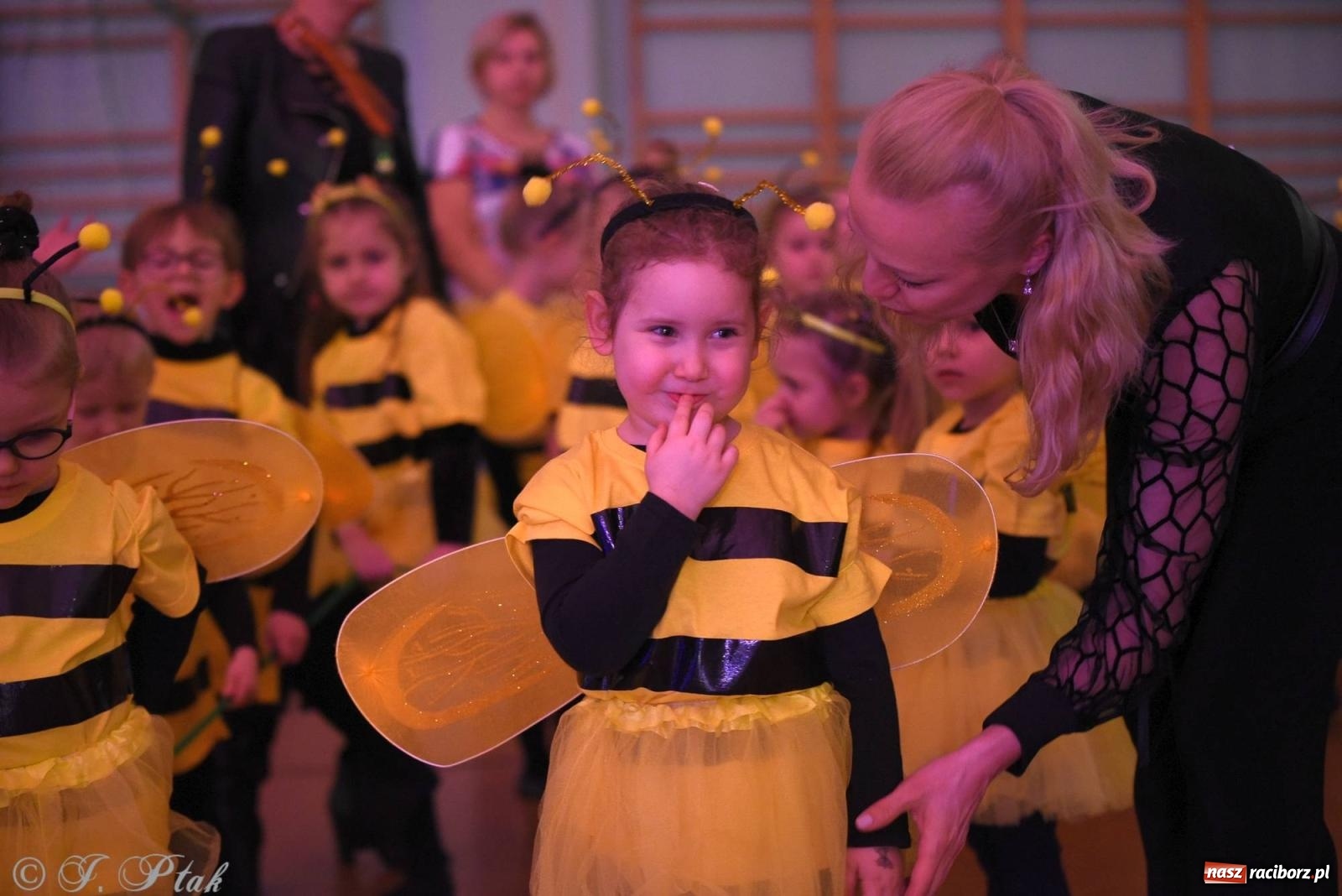 Zdjęcie w galerii na portalu naszraciborz.pl: XVI Karnawałowa Rewia Tańca w Raciborzu - dzień drugi [FOTO i WIDEO] wiadomości z regionu