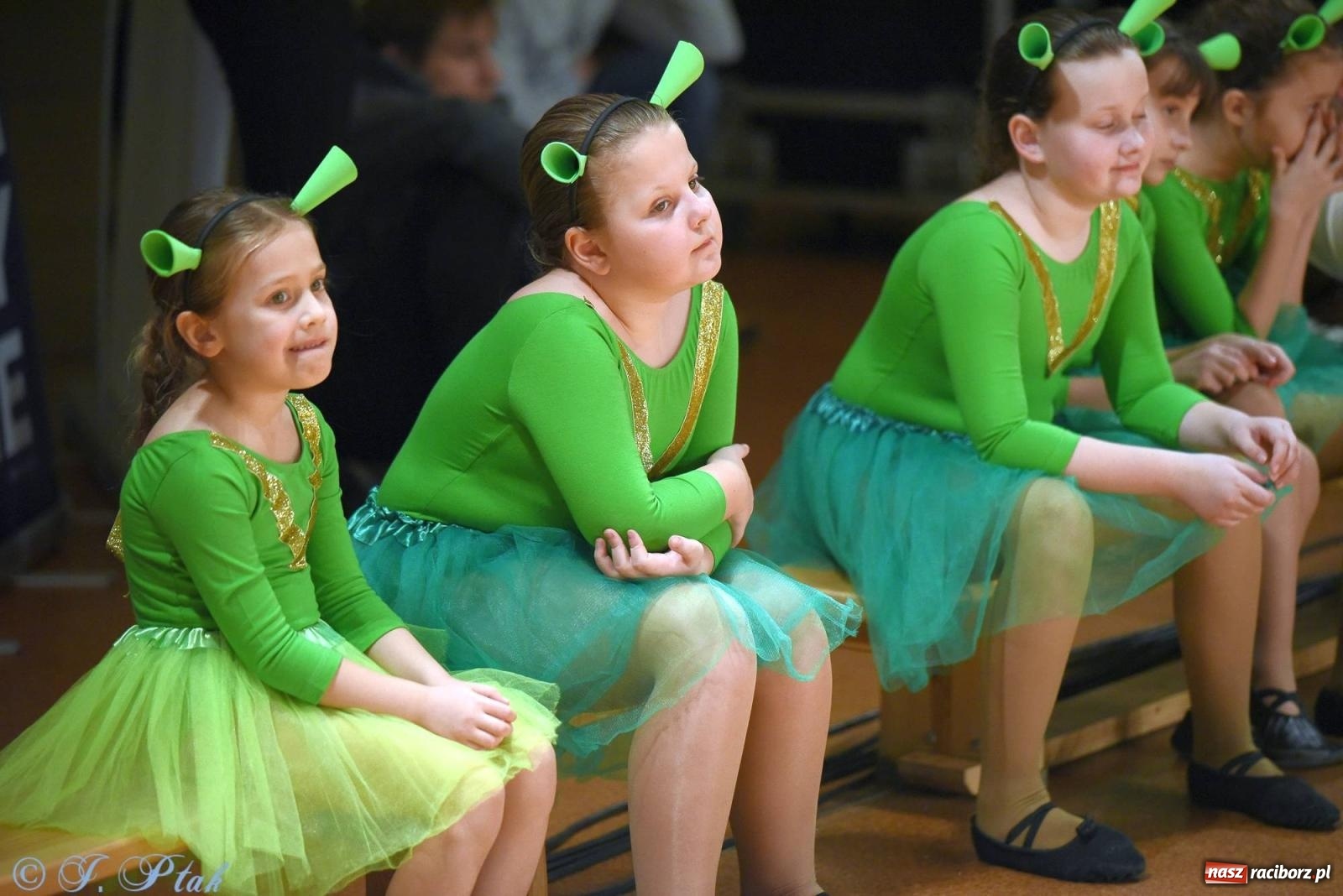 Zdjęcie w galerii na portalu naszraciborz.pl: XVI Karnawałowa Rewia Tańca w Raciborzu - dzień drugi [FOTO i WIDEO] wiadomości z regionu