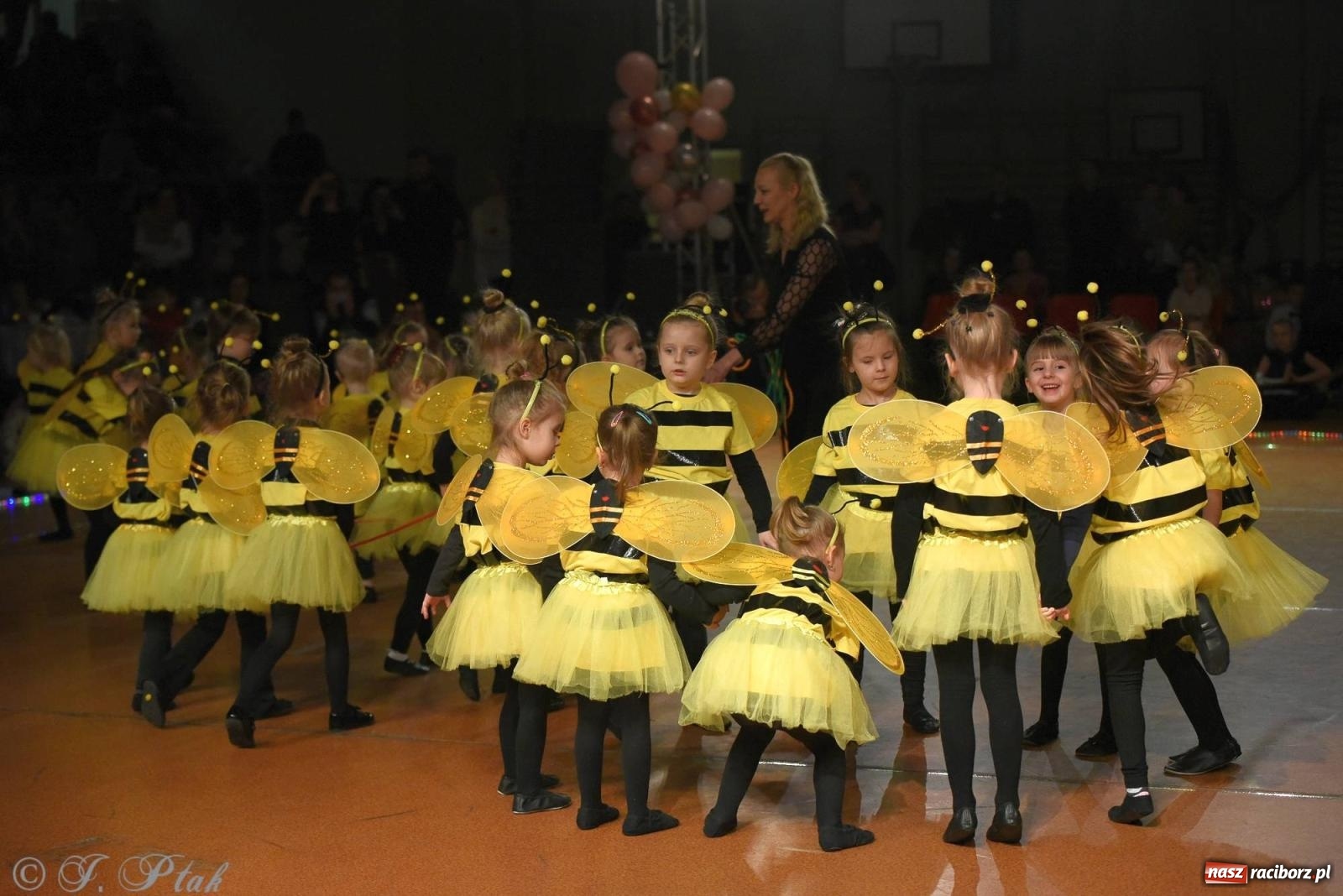 Zdjęcie w galerii na portalu naszraciborz.pl: XVI Karnawałowa Rewia Tańca w Raciborzu - dzień drugi [FOTO i WIDEO] wiadomości z regionu