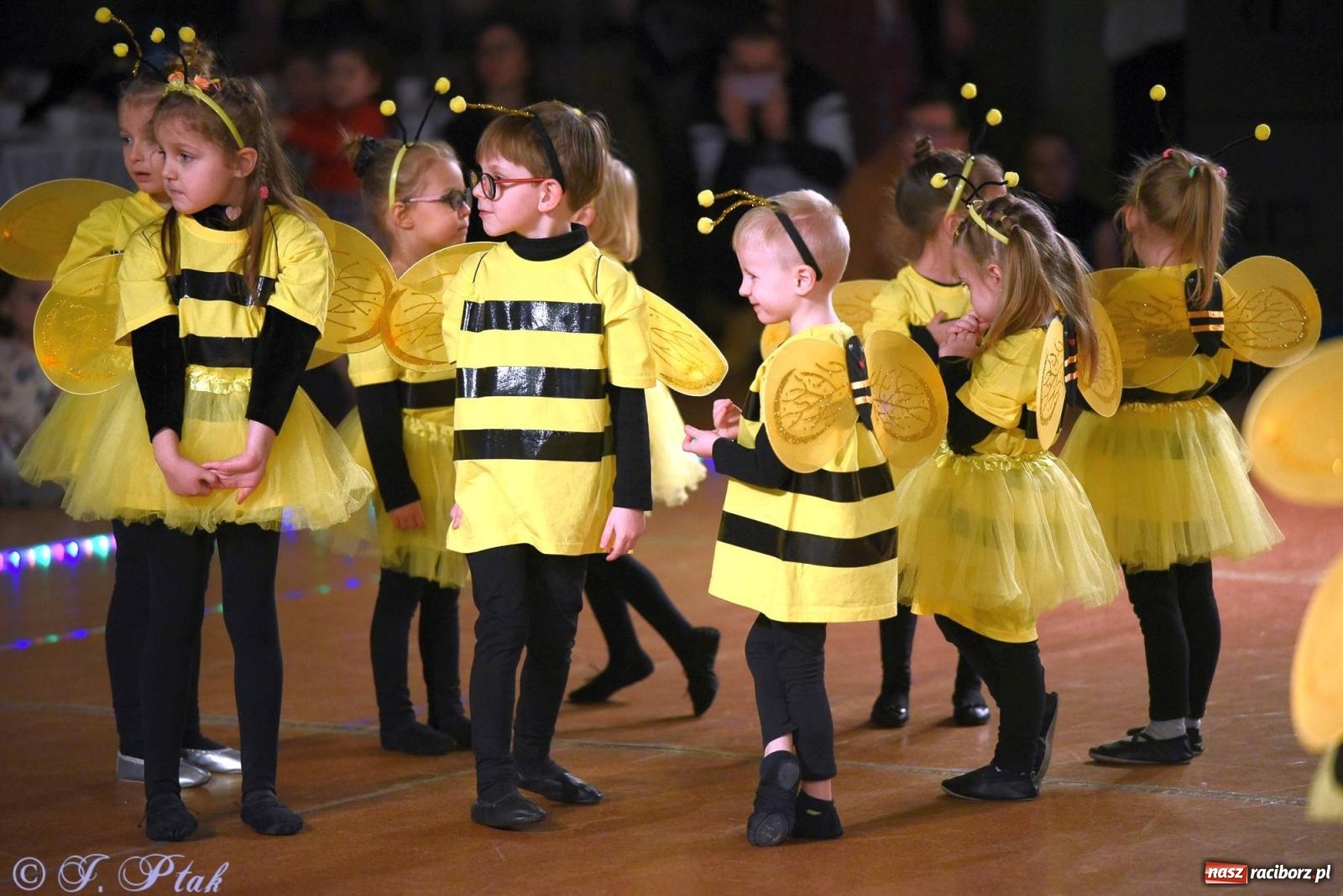Zdjęcie w galerii na portalu naszraciborz.pl: XVI Karnawałowa Rewia Tańca w Raciborzu - dzień drugi [FOTO i WIDEO] wiadomości z regionu