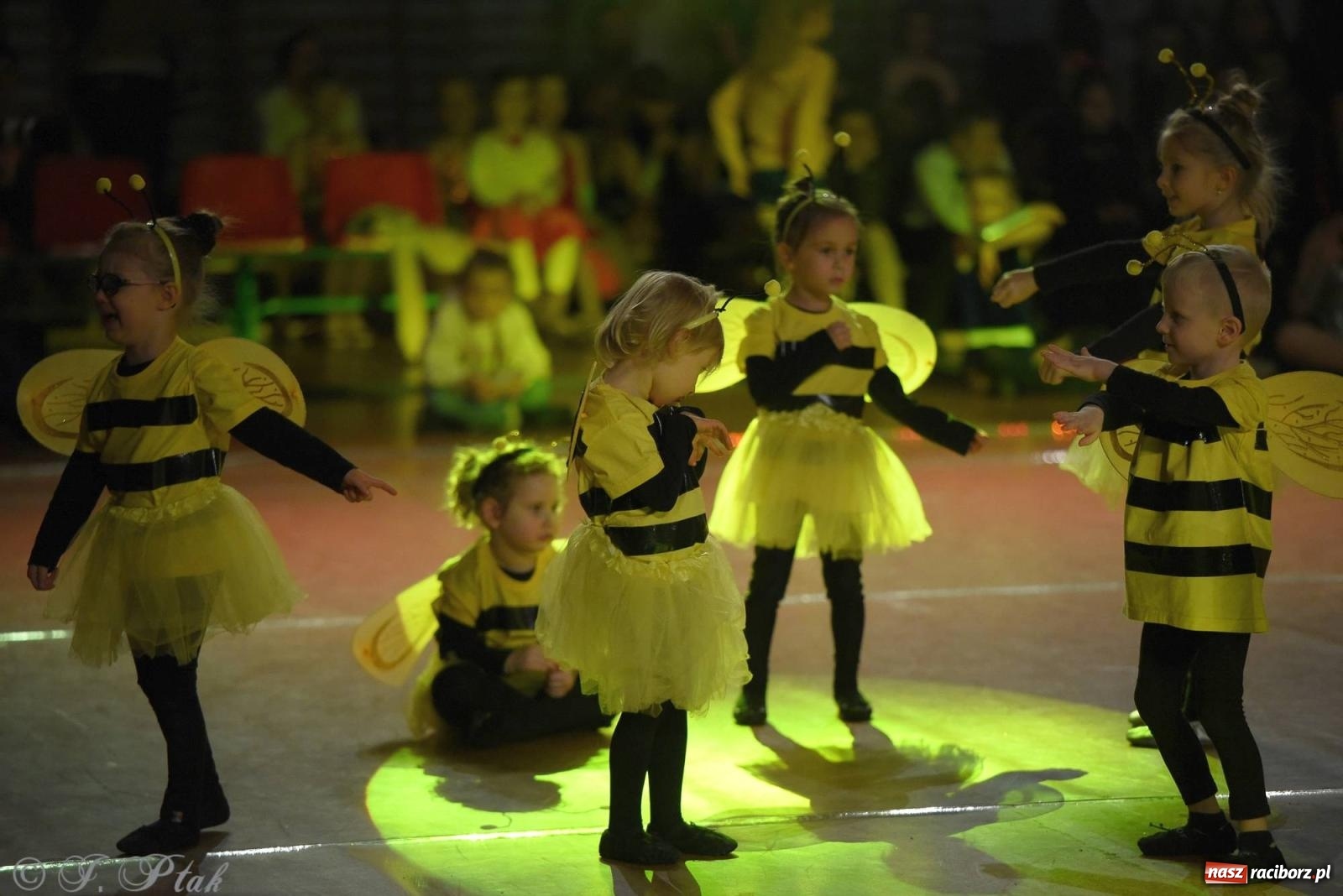 Zdjęcie w galerii na portalu naszraciborz.pl: XVI Karnawałowa Rewia Tańca w Raciborzu - dzień drugi [FOTO i WIDEO] wiadomości z regionu