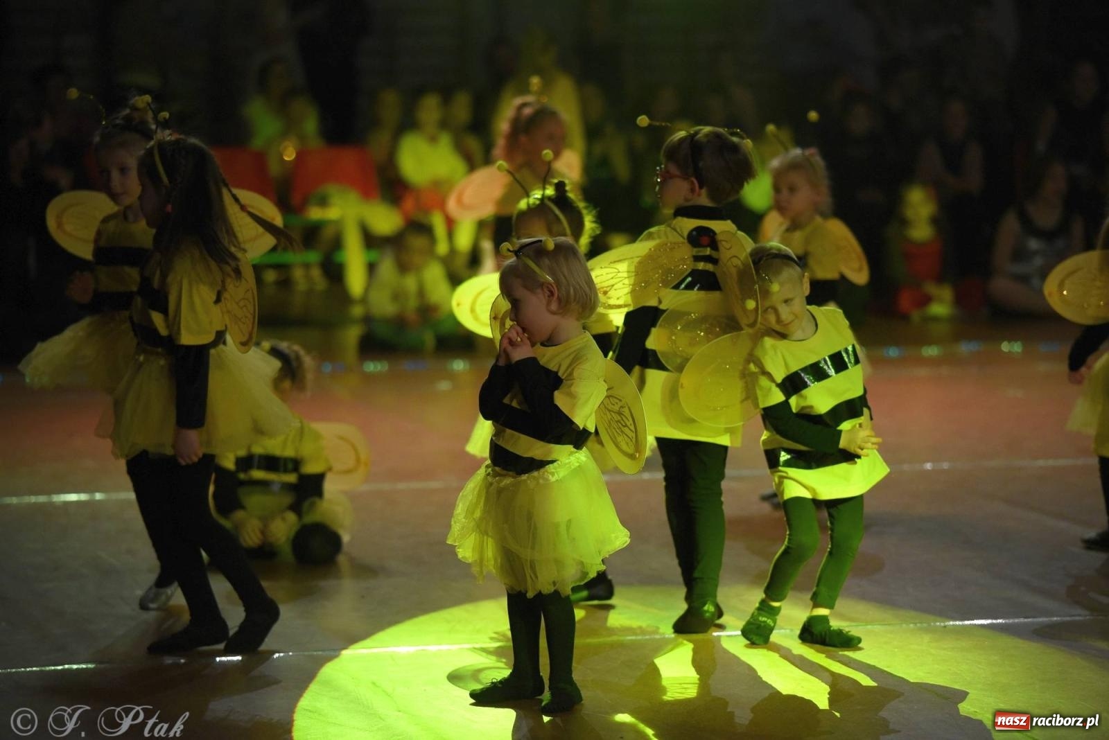 Zdjęcie w galerii na portalu naszraciborz.pl: XVI Karnawałowa Rewia Tańca w Raciborzu - dzień drugi [FOTO i WIDEO] wiadomości z regionu