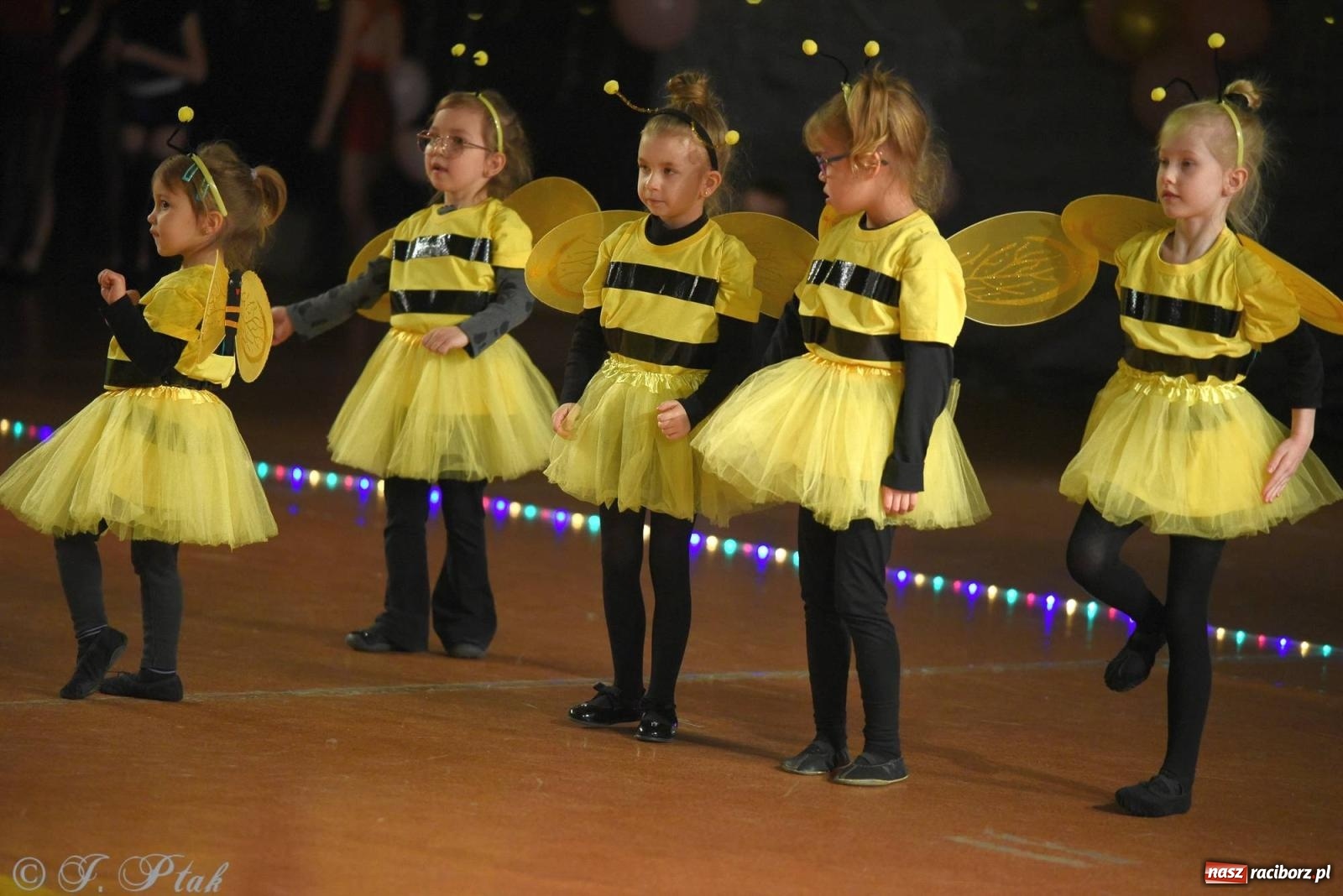 Zdjęcie w galerii na portalu naszraciborz.pl: XVI Karnawałowa Rewia Tańca w Raciborzu - dzień drugi [FOTO i WIDEO] wiadomości z regionu