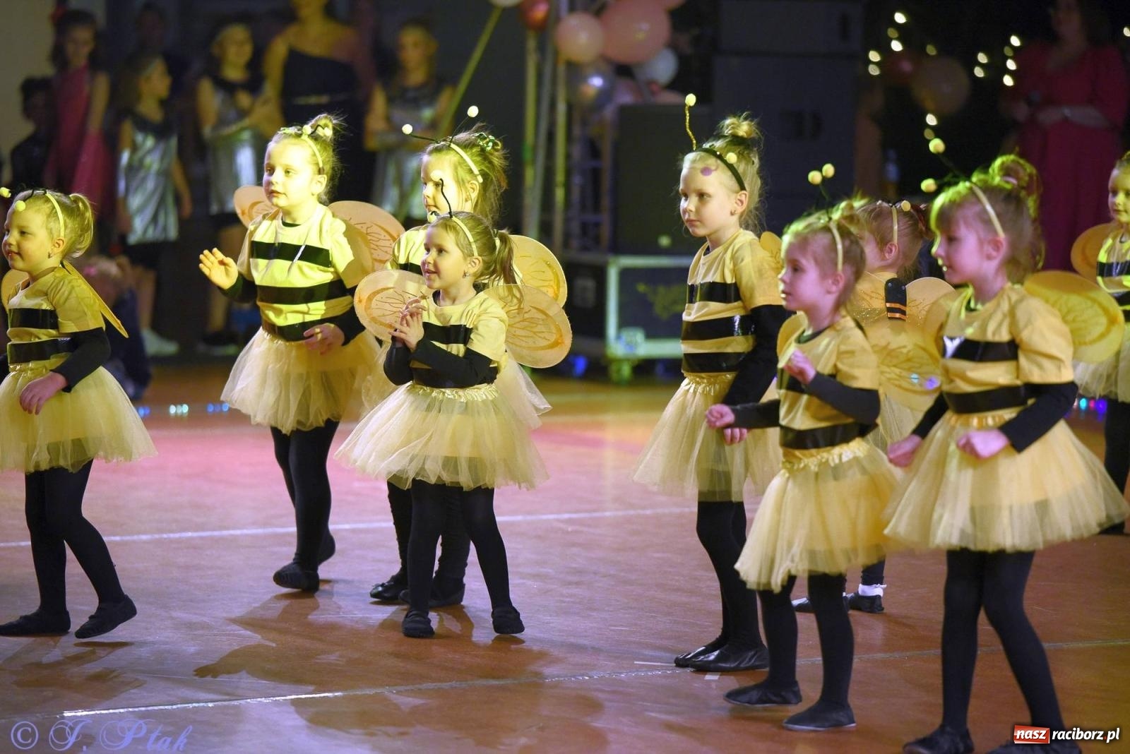 Zdjęcie w galerii na portalu naszraciborz.pl: XVI Karnawałowa Rewia Tańca w Raciborzu - dzień drugi [FOTO i WIDEO] wiadomości z regionu