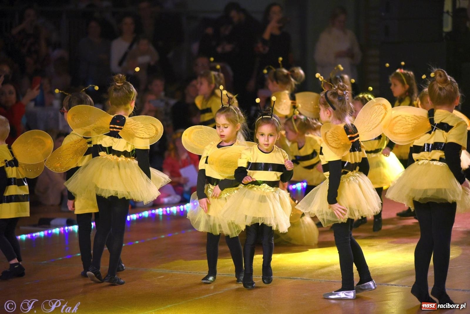 Zdjęcie w galerii na portalu naszraciborz.pl: XVI Karnawałowa Rewia Tańca w Raciborzu - dzień drugi [FOTO i WIDEO] wiadomości z regionu