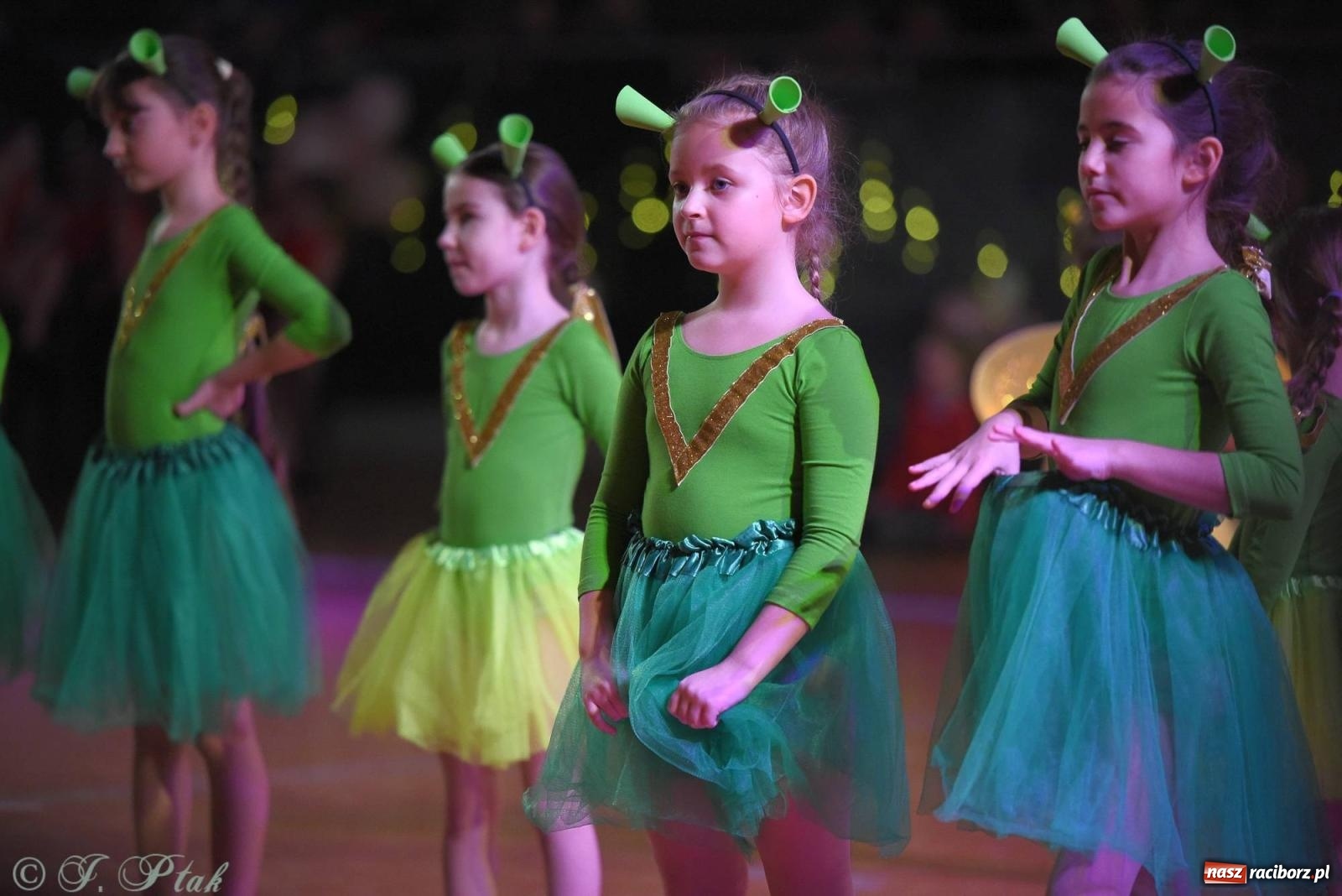 Zdjęcie w galerii na portalu naszraciborz.pl: XVI Karnawałowa Rewia Tańca w Raciborzu - dzień drugi [FOTO i WIDEO] wiadomości z regionu