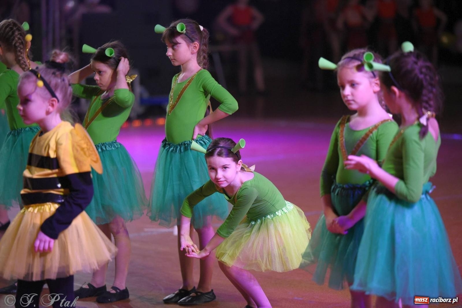 Zdjęcie w galerii na portalu naszraciborz.pl: XVI Karnawałowa Rewia Tańca w Raciborzu - dzień drugi [FOTO i WIDEO] wiadomości z regionu