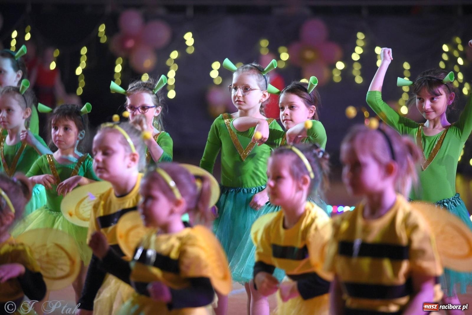 Zdjęcie w galerii na portalu naszraciborz.pl: XVI Karnawałowa Rewia Tańca w Raciborzu - dzień drugi [FOTO i WIDEO] wiadomości z regionu