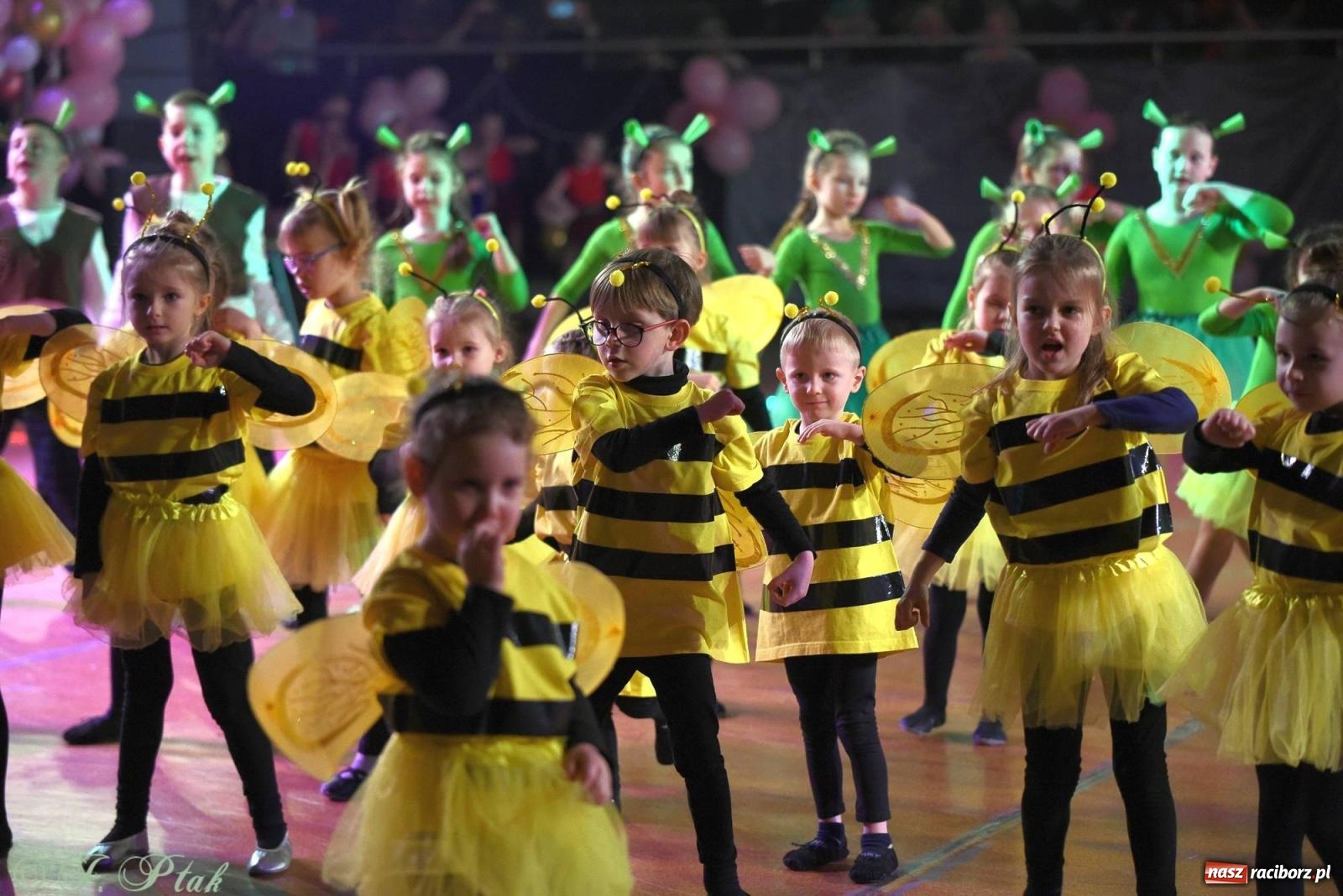 Zdjęcie w galerii na portalu naszraciborz.pl: XVI Karnawałowa Rewia Tańca w Raciborzu - dzień drugi [FOTO i WIDEO] wiadomości z regionu