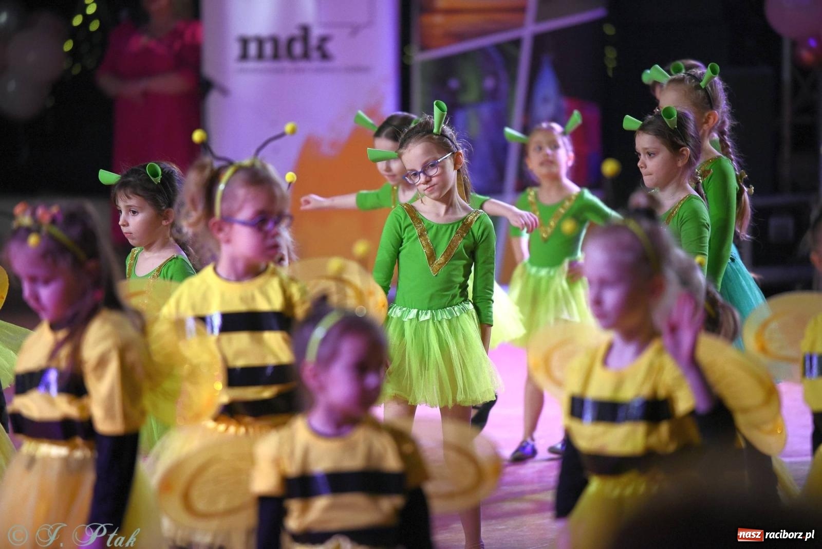 Zdjęcie w galerii na portalu naszraciborz.pl: XVI Karnawałowa Rewia Tańca w Raciborzu - dzień drugi [FOTO i WIDEO] wiadomości z regionu