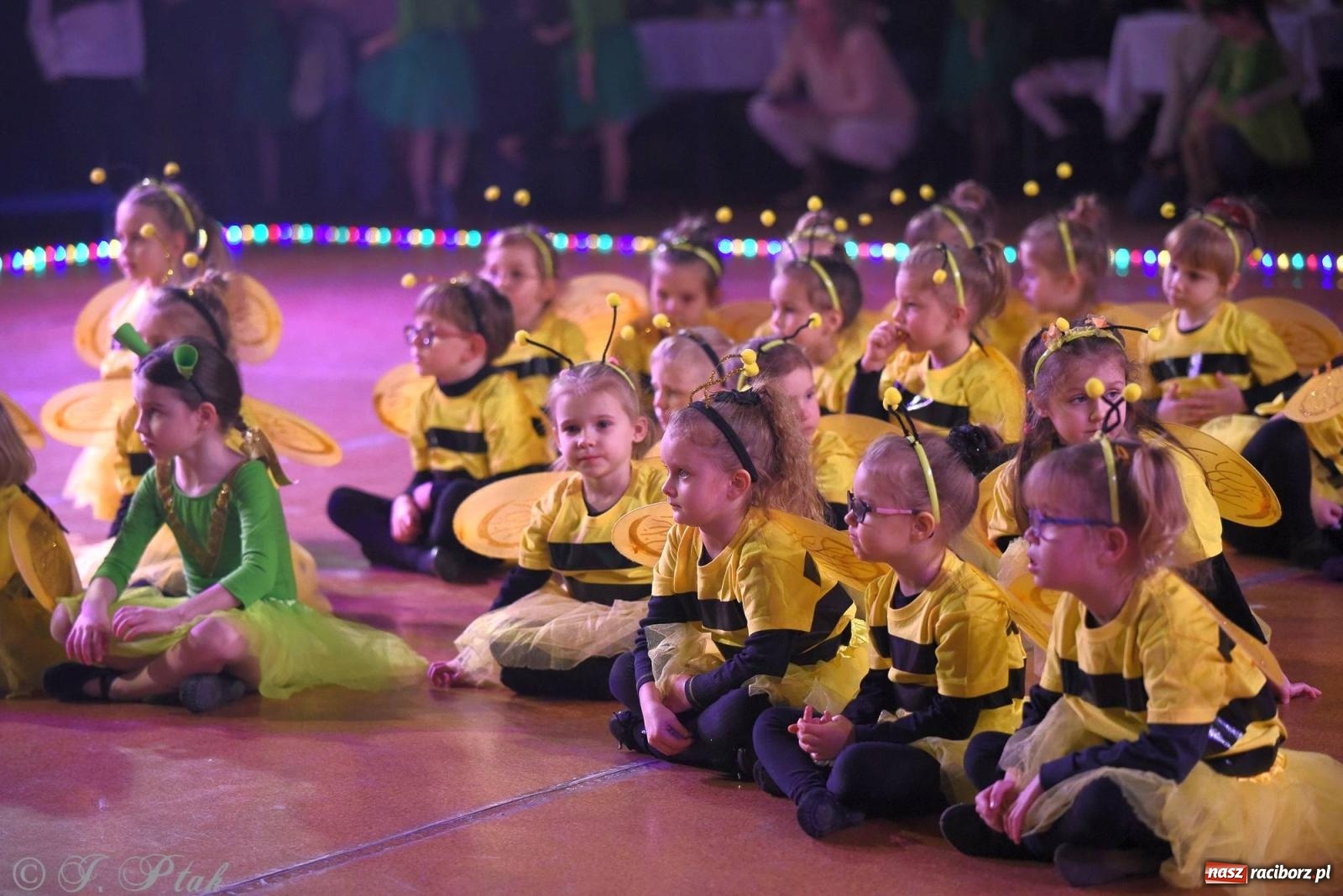 Zdjęcie w galerii na portalu naszraciborz.pl: XVI Karnawałowa Rewia Tańca w Raciborzu - dzień drugi [FOTO i WIDEO] wiadomości z regionu