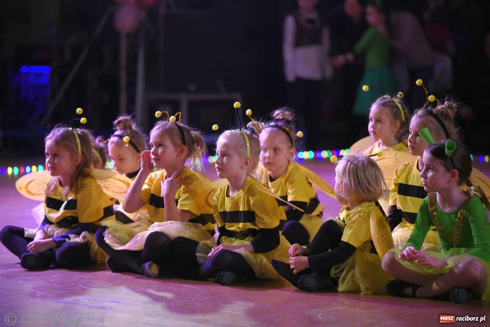 Zdjęcie w galerii na portalu naszraciborz.pl: XVI Karnawałowa Rewia Tańca w Raciborzu - dzień drugi [FOTO i WIDEO] wiadomości z regionu