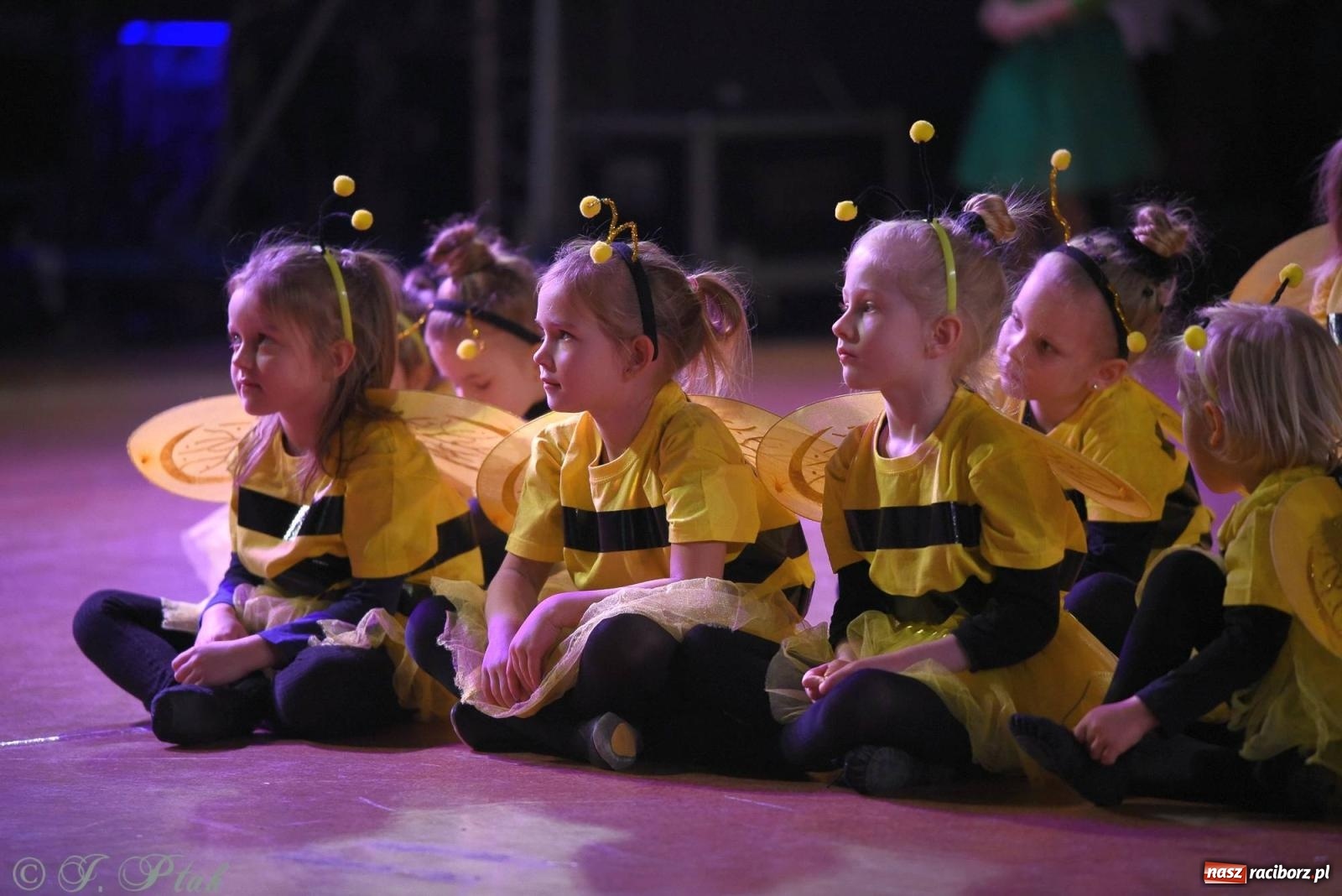 Zdjęcie w galerii na portalu naszraciborz.pl: XVI Karnawałowa Rewia Tańca w Raciborzu - dzień drugi [FOTO i WIDEO] wiadomości z regionu