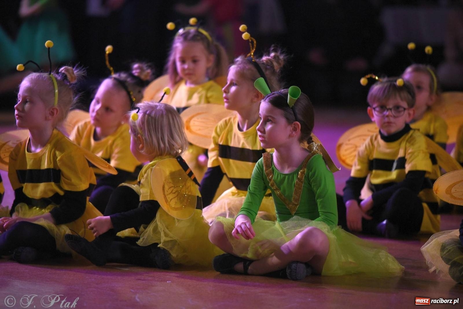 Zdjęcie w galerii na portalu naszraciborz.pl: XVI Karnawałowa Rewia Tańca w Raciborzu - dzień drugi [FOTO i WIDEO] wiadomości z regionu