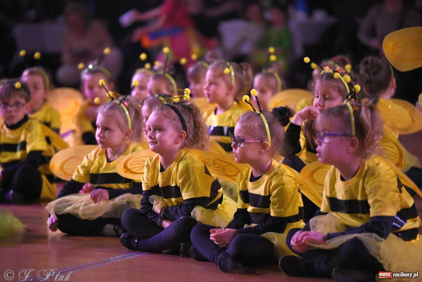 Zdjęcie w galerii na portalu naszraciborz.pl: XVI Karnawałowa Rewia Tańca w Raciborzu - dzień drugi [FOTO i WIDEO] wiadomości z regionu