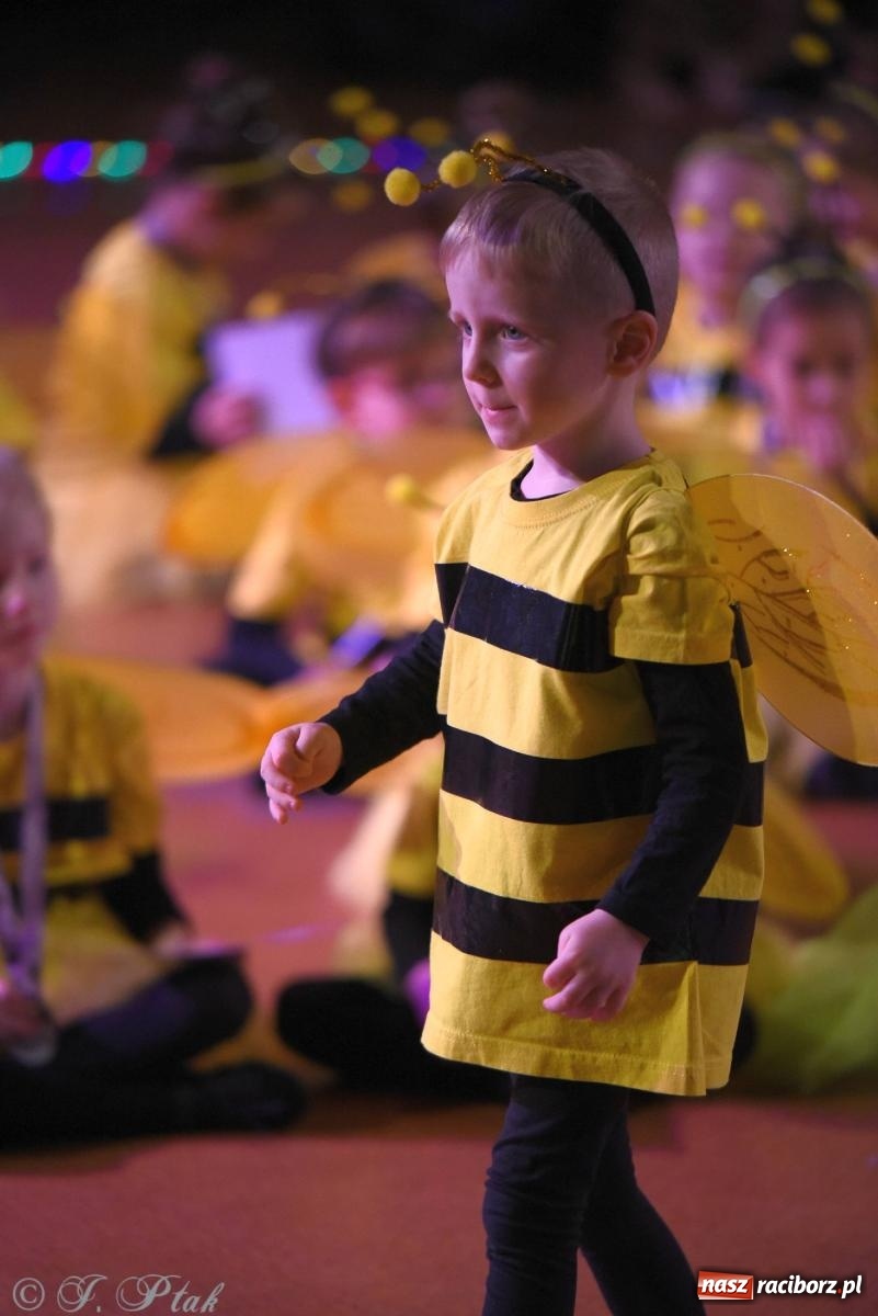 Zdjęcie w galerii na portalu naszraciborz.pl: XVI Karnawałowa Rewia Tańca w Raciborzu - dzień drugi [FOTO i WIDEO] wiadomości z regionu