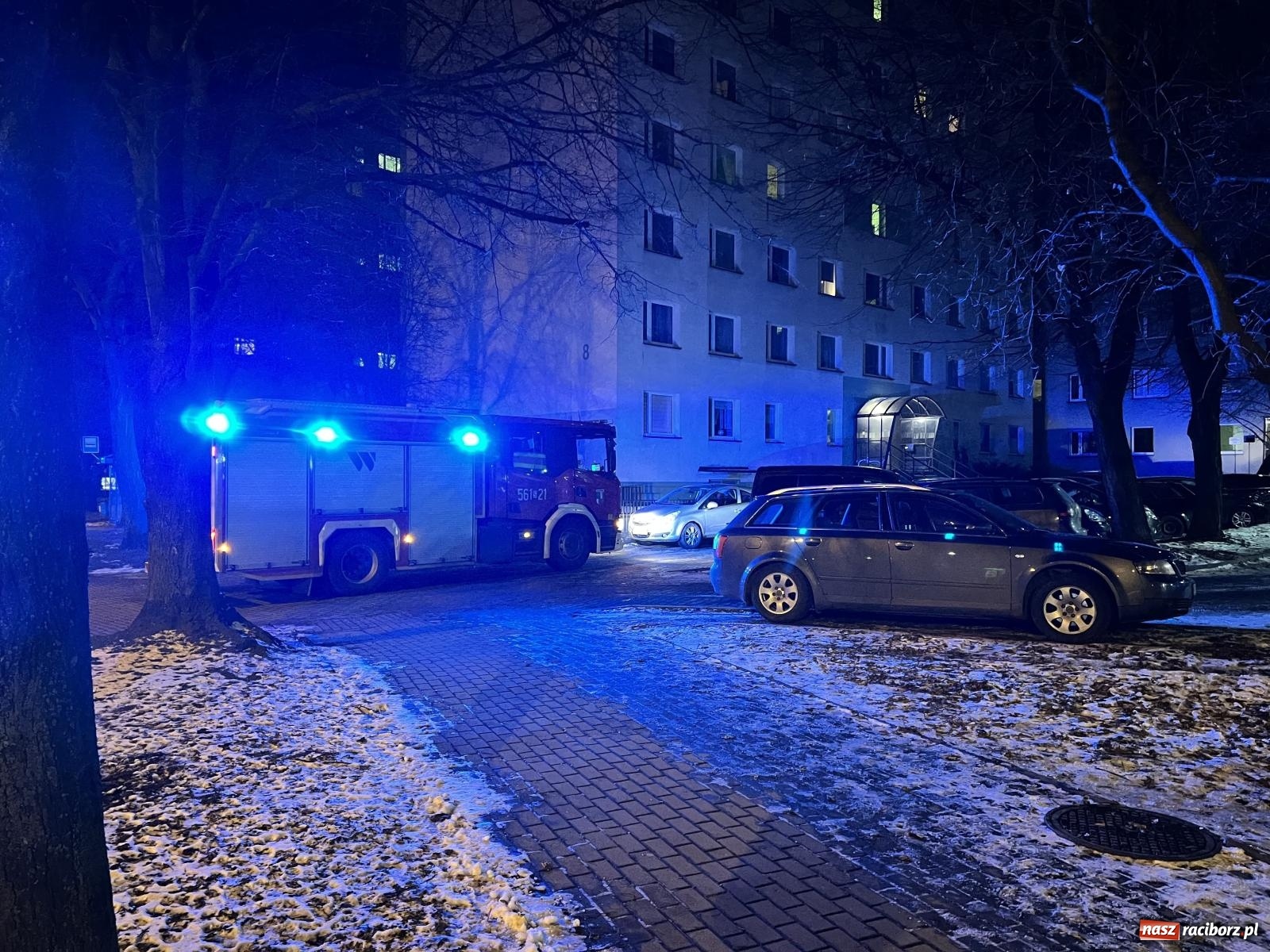 Zdjęcie w galerii na portalu naszraciborz.pl: Czujka uratowała życie rodziny z Katowickiej wiadomości z regionu