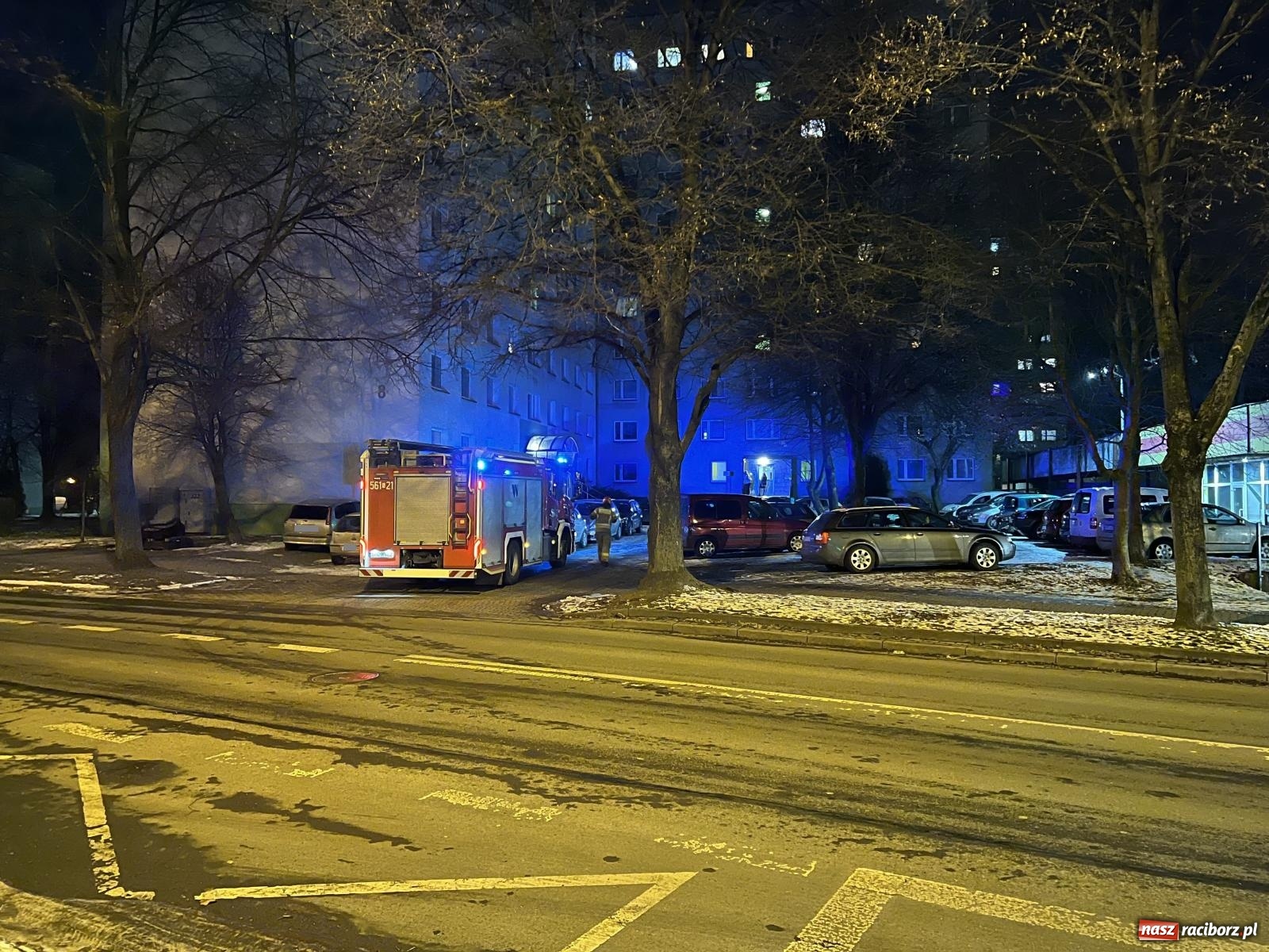 Zdjęcie w galerii na portalu naszraciborz.pl: Czujka uratowała życie rodziny z Katowickiej wiadomości z regionu