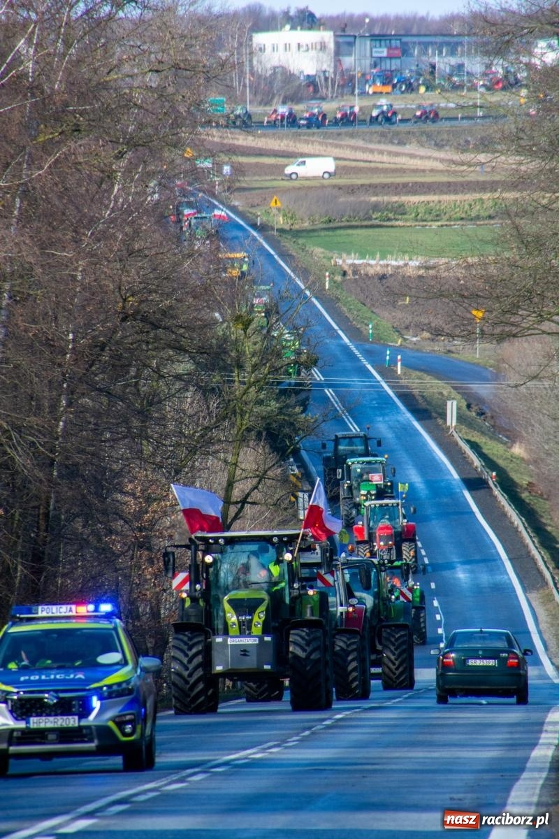 Zdjęcie w galerii na portalu naszraciborz.pl: Głód poczujesz, rolnika uszanujesz. Ponad setka maszyn wyjechała na DK 45 [FOTO i WIDEO] wiadomości z regionu