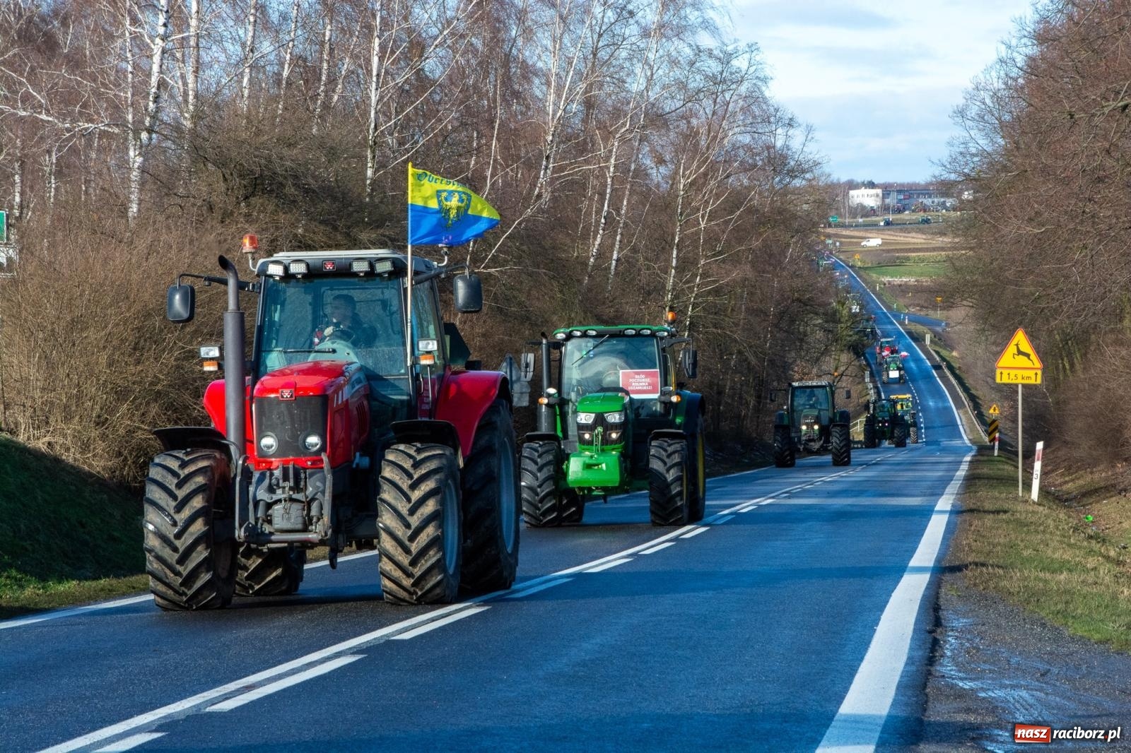 Zdjęcie w galerii na portalu naszraciborz.pl: Głód poczujesz, rolnika uszanujesz. Ponad setka maszyn wyjechała na DK 45 [FOTO i WIDEO] wiadomości z regionu