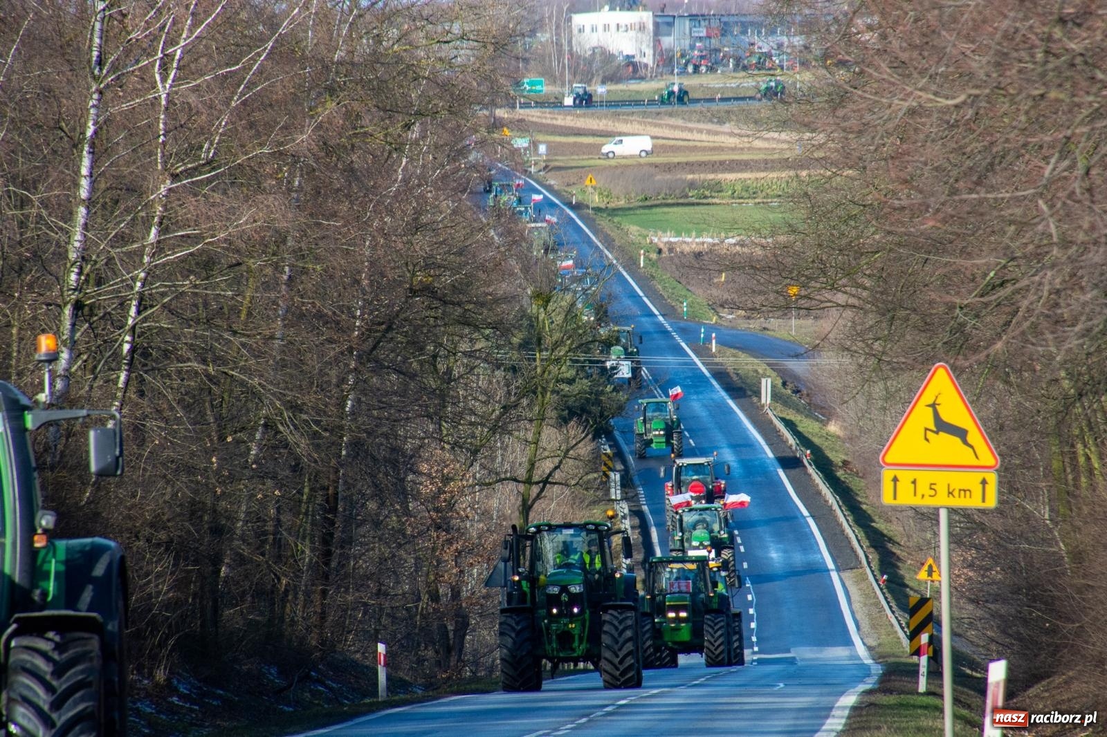 Zdjęcie w galerii na portalu naszraciborz.pl: Głód poczujesz, rolnika uszanujesz. Ponad setka maszyn wyjechała na DK 45 [FOTO i WIDEO] wiadomości z regionu