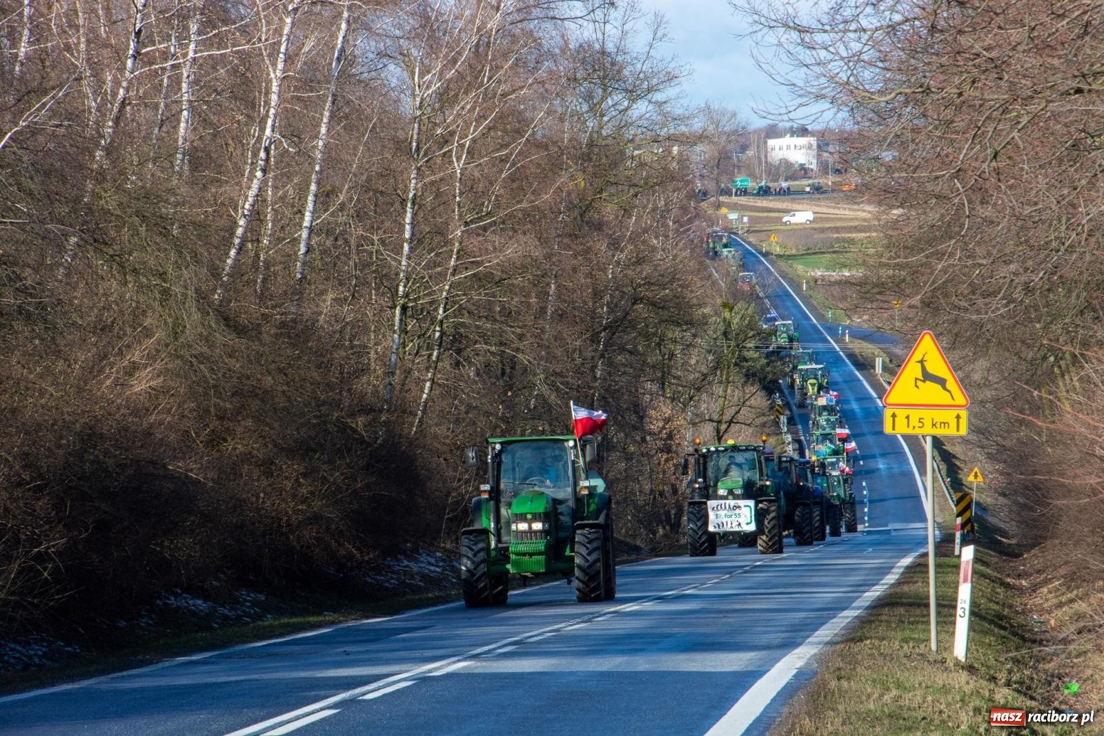 Zdjęcie w galerii na portalu naszraciborz.pl: Głód poczujesz, rolnika uszanujesz. Ponad setka maszyn wyjechała na DK 45 [FOTO i WIDEO] wiadomości z regionu