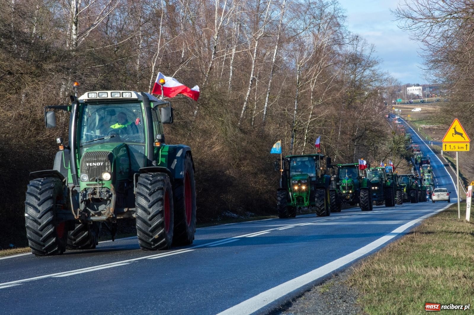 Zdjęcie w galerii na portalu naszraciborz.pl: Głód poczujesz, rolnika uszanujesz. Ponad setka maszyn wyjechała na DK 45 [FOTO i WIDEO] wiadomości z regionu