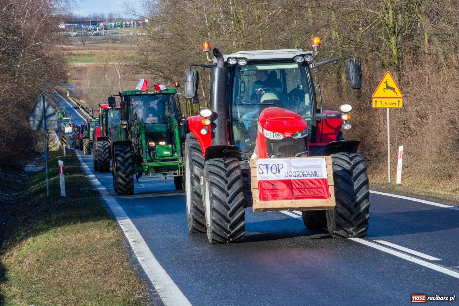 Zdjęcie w galerii na portalu naszraciborz.pl: Głód poczujesz, rolnika uszanujesz. Ponad setka maszyn wyjechała na DK 45 [FOTO i WIDEO] wiadomości z regionu