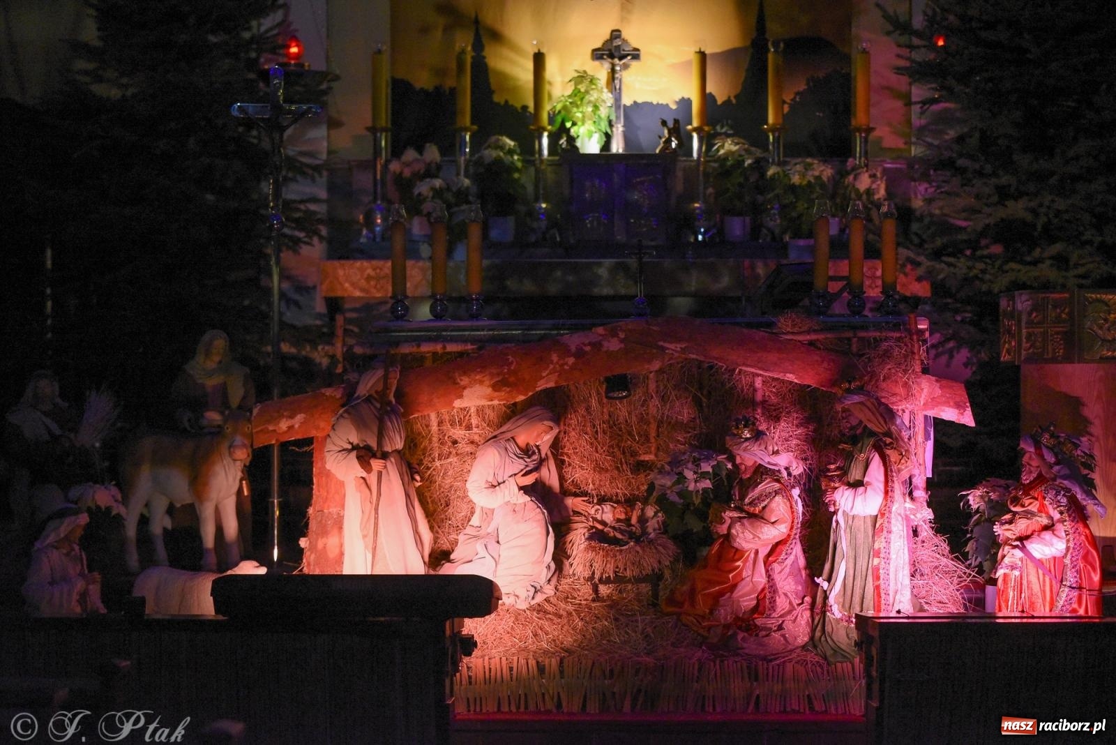 Zdjęcie w galerii na portalu naszraciborz.pl: Kolędowanie dla dzieci w kościele NSPJ wiadomości z regionu