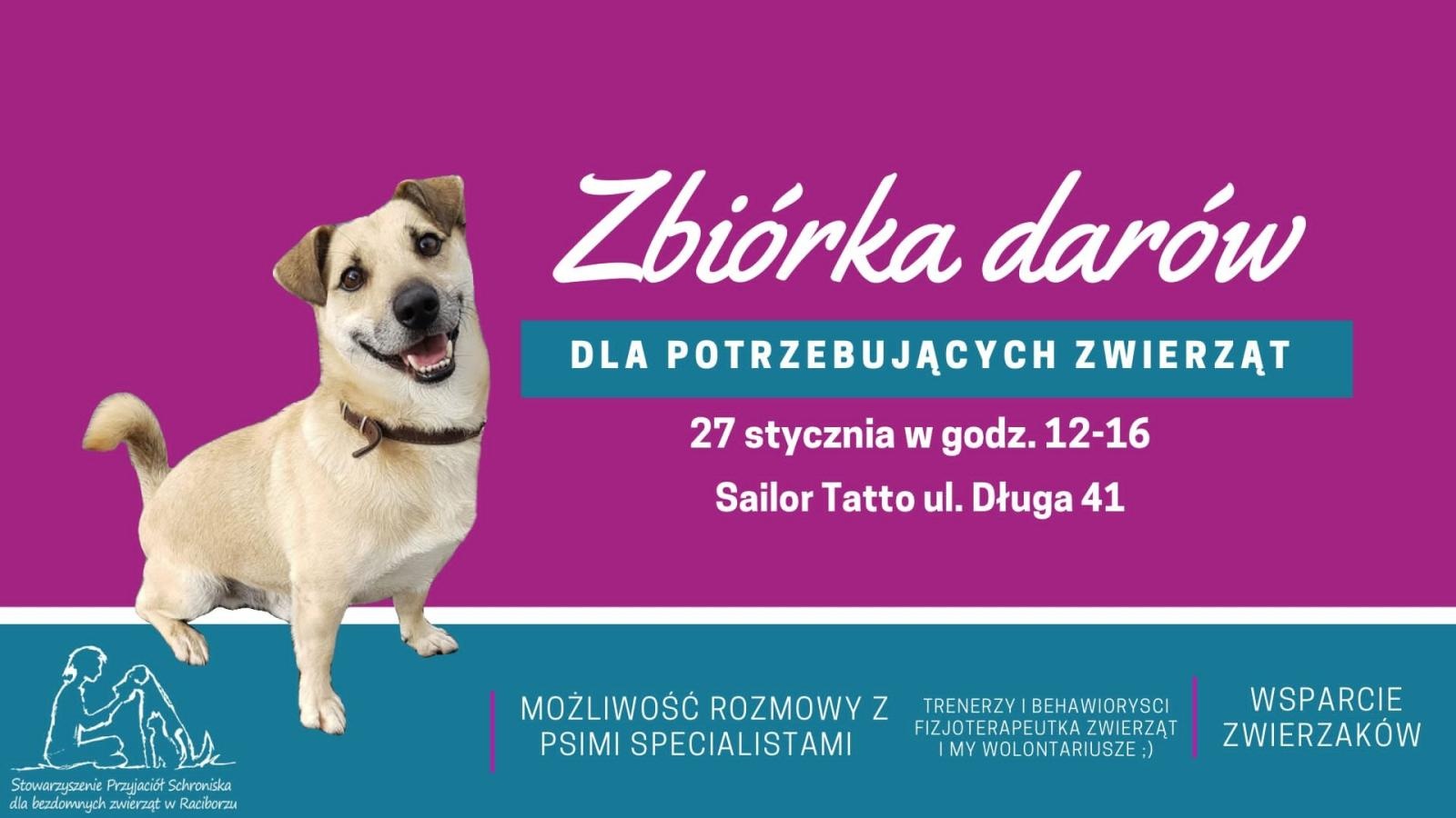 Zdjęcie w galerii na portalu naszraciborz.pl: Przyjaciele bezdomnych zwierząt organizują zbiórkę i psiolubne spotkanie wiadomości z regionu