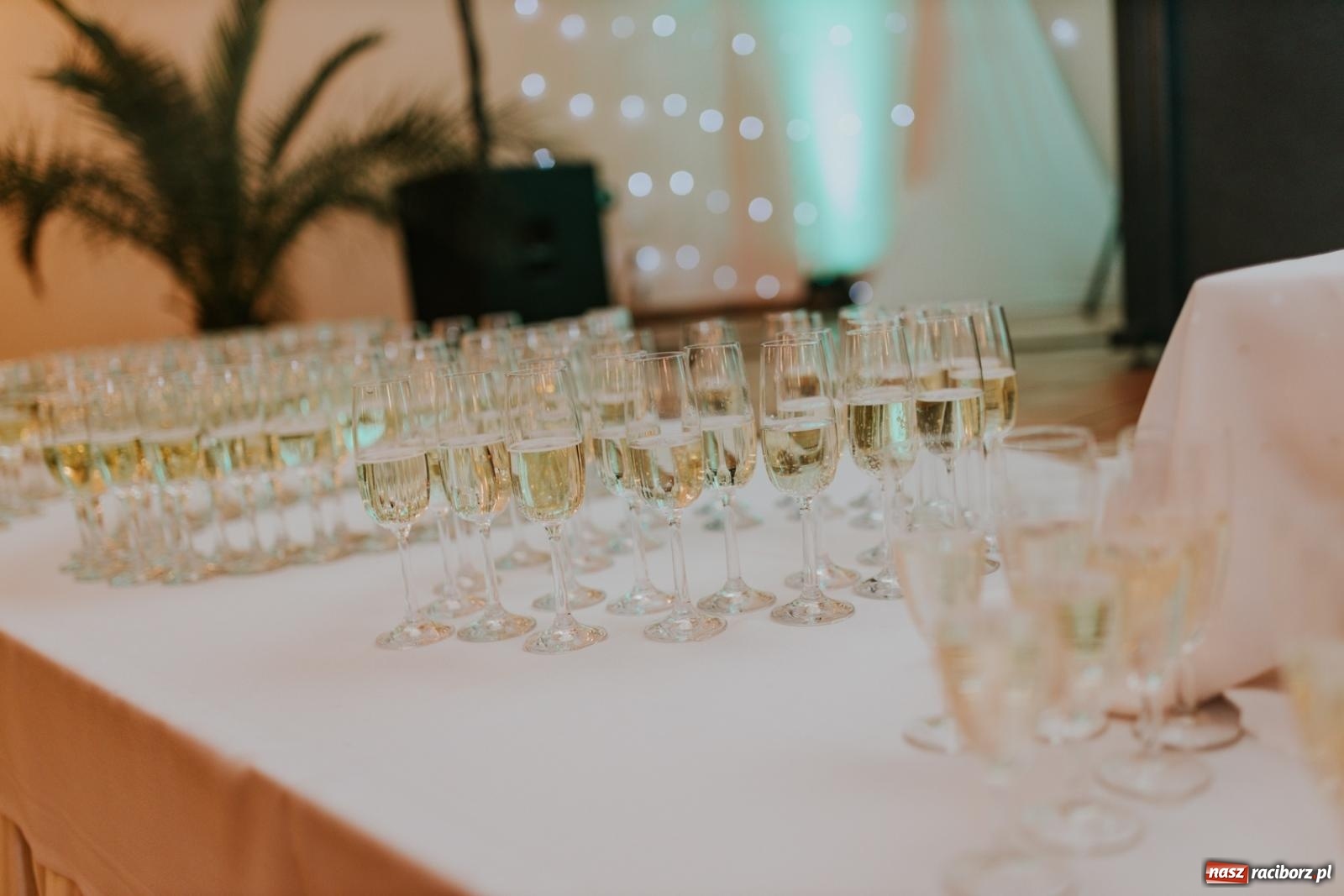 Zdjęcie w galerii na portalu naszraciborz.pl: Piękni i młodzi. Bal studniówkowy Ekonomika na bis! [FOTO] wiadomości z regionu