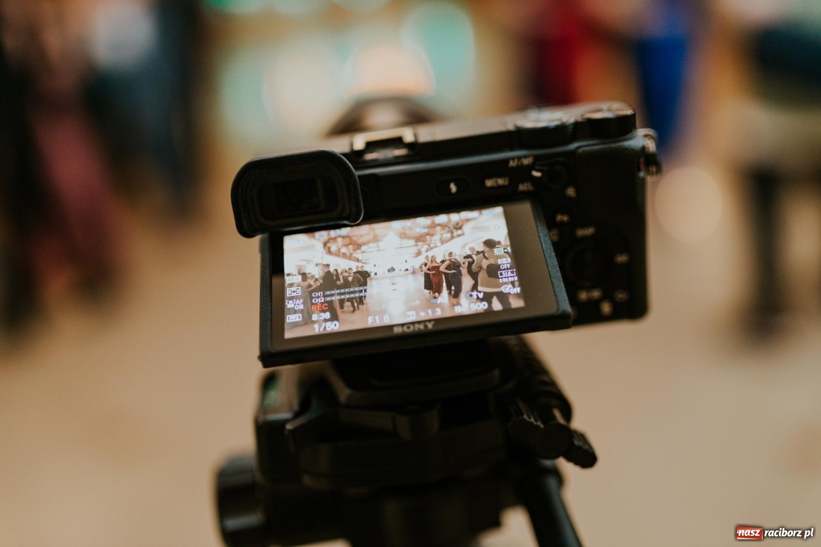 Zdjęcie w galerii na portalu naszraciborz.pl: Piękni i młodzi. Bal studniówkowy Ekonomika na bis! [FOTO] wiadomości z regionu