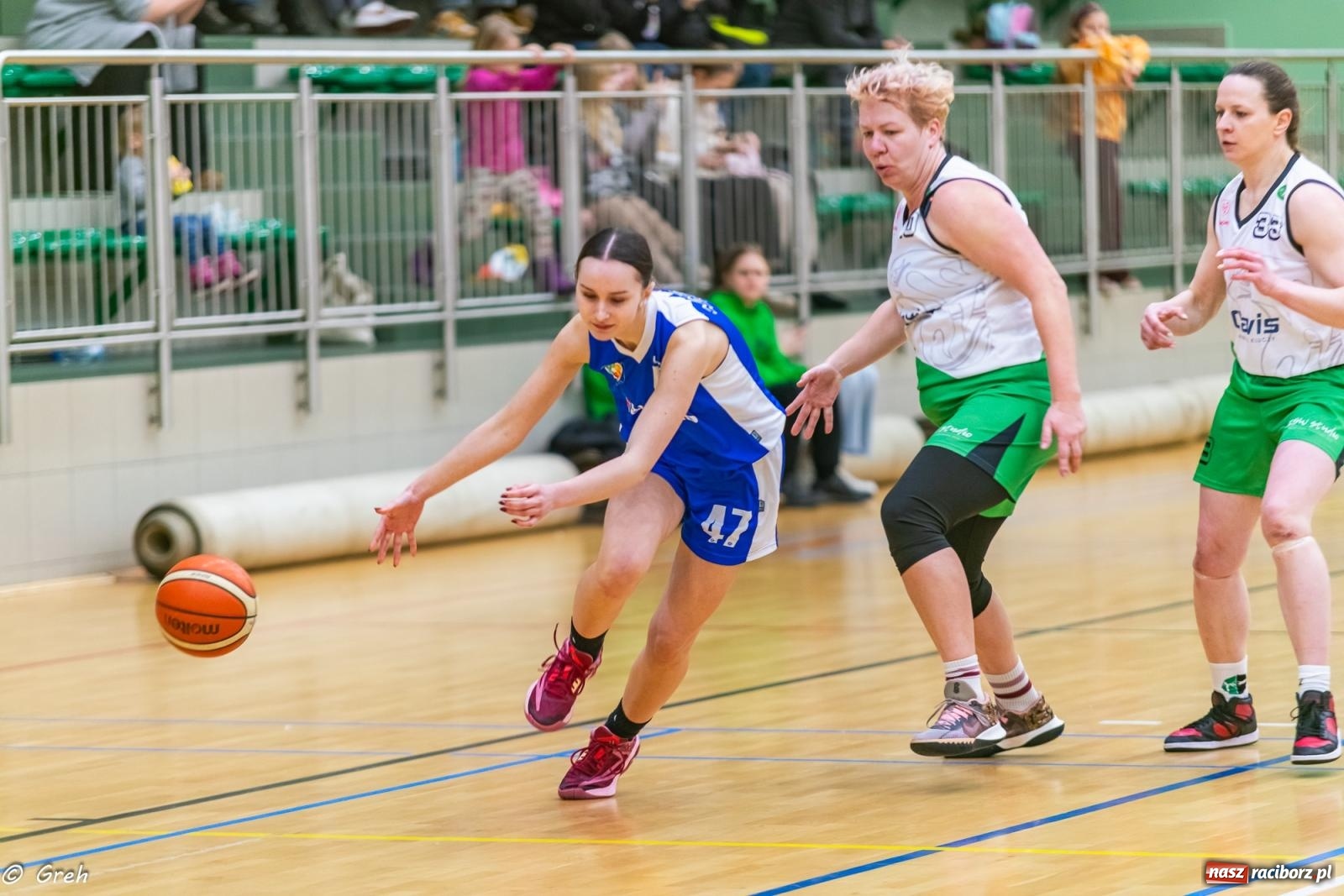 Zdjęcie w galerii na portalu naszraciborz.pl: Koszykówka. Wrocław znów za mocny. Sroga porażka RKK [FOTO i WIDEO] wiadomości z regionu