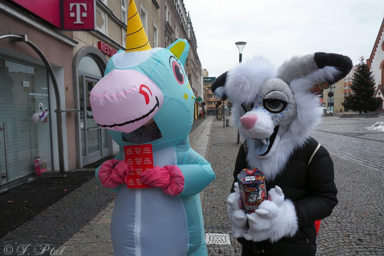 Zdjęcie w galerii na portalu naszraciborz.pl: Raciborska WOŚP już gra. W programie liczne atrakcje! wiadomości z regionu