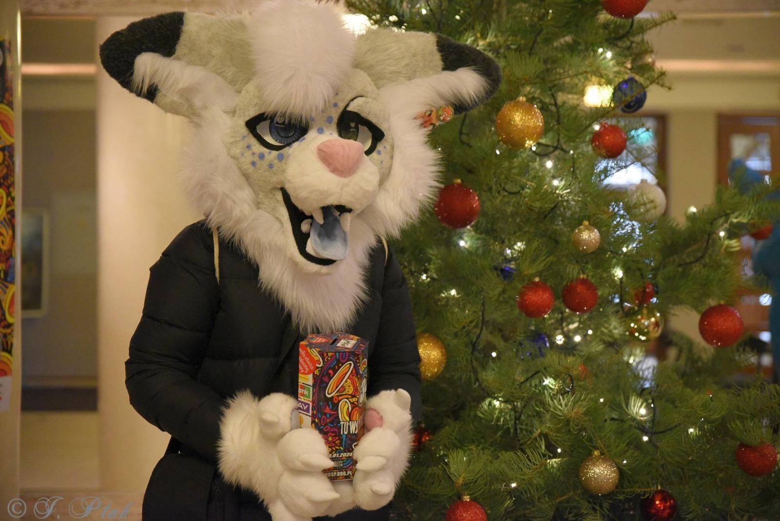 Zdjęcie w galerii na portalu naszraciborz.pl: Raciborska WOŚP już gra. W programie liczne atrakcje! wiadomości z regionu