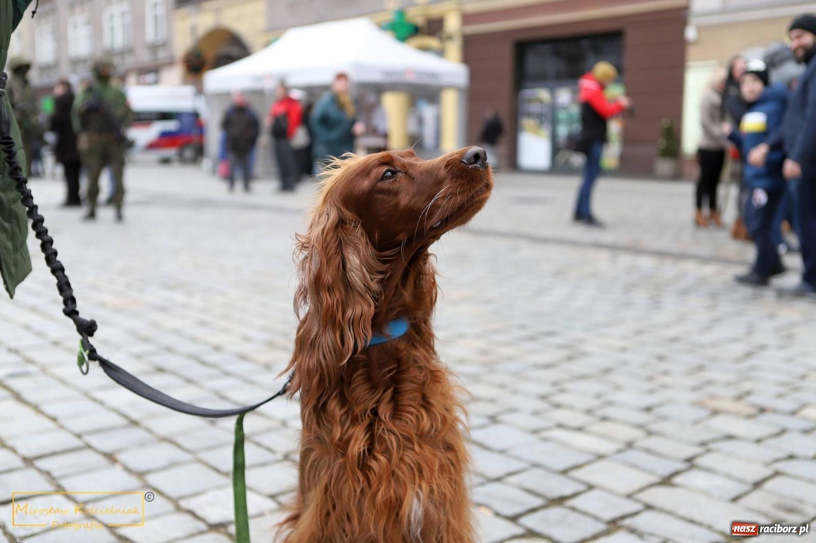 Zdjęcie w galerii na portalu naszraciborz.pl: Kubuś Puchatek, Tygrysek i zumba [FOTO i WIDEO] wiadomości z regionu