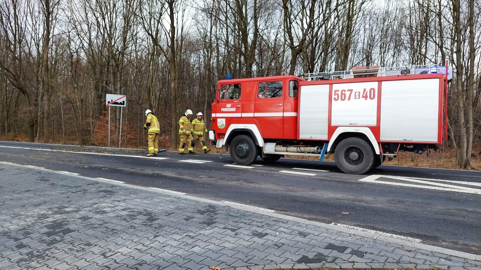Zdjęcie w galerii na portalu naszraciborz.pl: Seria interwencji z powalonymi drzewami wiadomości z regionu
