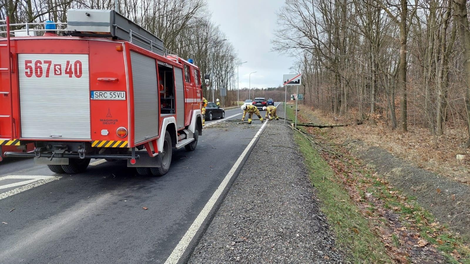 Zdjęcie w galerii na portalu naszraciborz.pl: Seria interwencji z powalonymi drzewami wiadomości z regionu