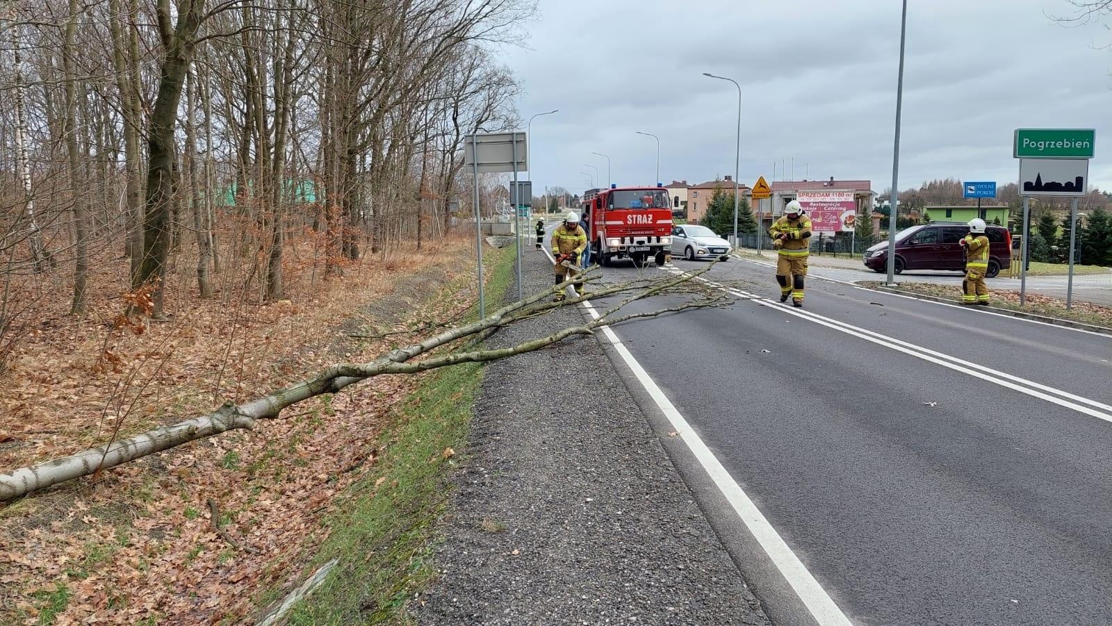 Zdjęcie w galerii na portalu naszraciborz.pl: Seria interwencji z powalonymi drzewami wiadomości z regionu
