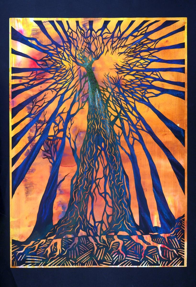 Zdjęcie w galerii na portalu naszraciborz.pl: Tu żyją stwory z mitów... wiadomości z regionu