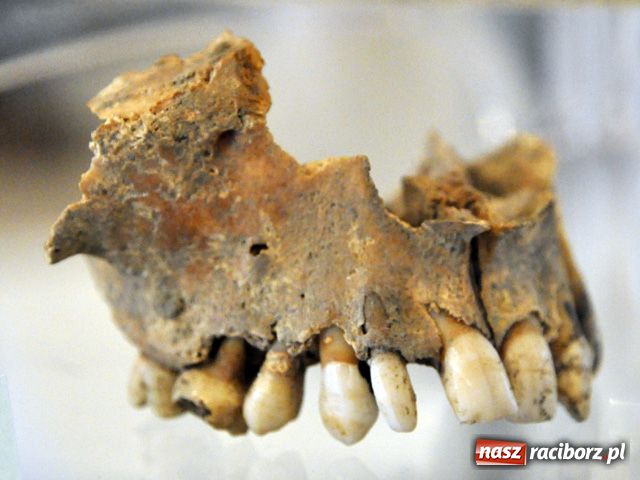 Zdjęcie w galerii na portalu naszraciborz.pl: Od dziś muzealny misz-masz wiadomości z regionu