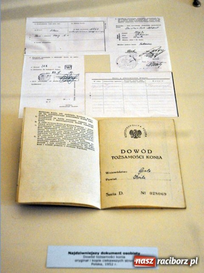 Zdjęcie w galerii na portalu naszraciborz.pl: Od dziś muzealny misz-masz wiadomości z regionu