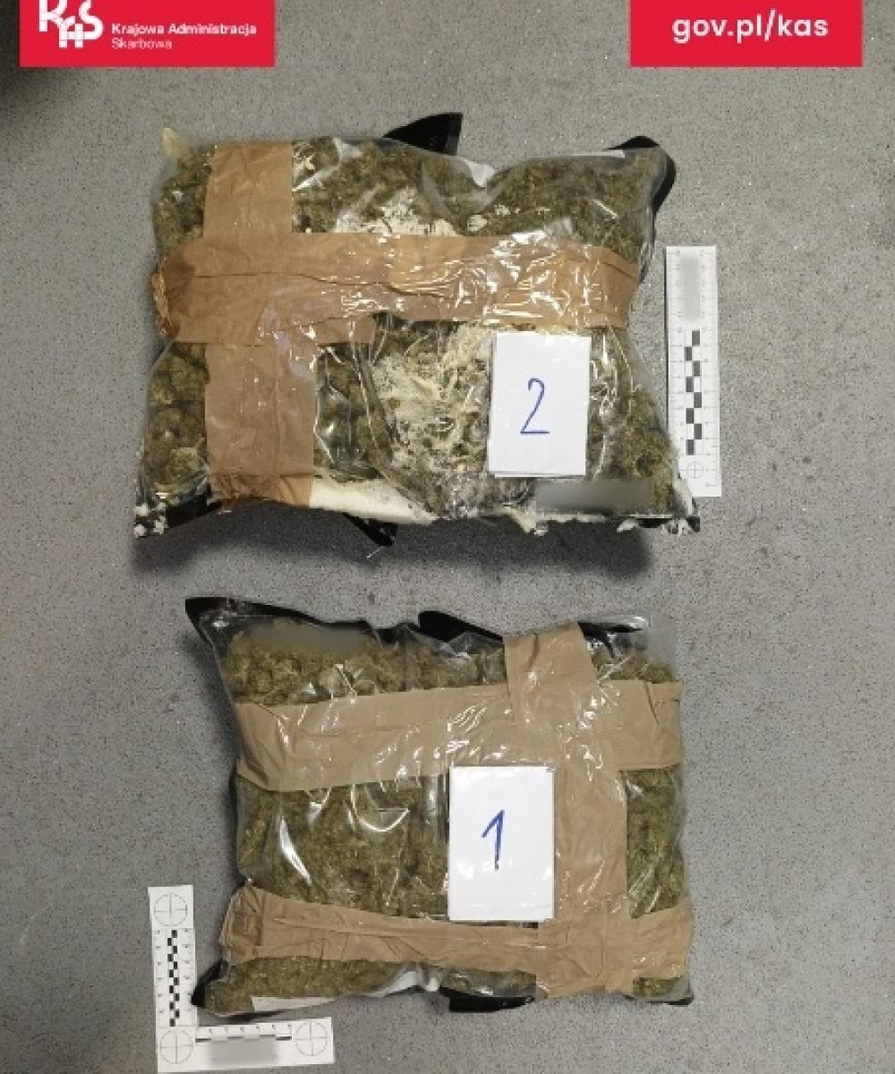 Zdjęcie w galerii na portalu naszraciborz.pl: Czworonożny funkcjonariusz Kodi ujawnił przemyt wiadomości z regionu