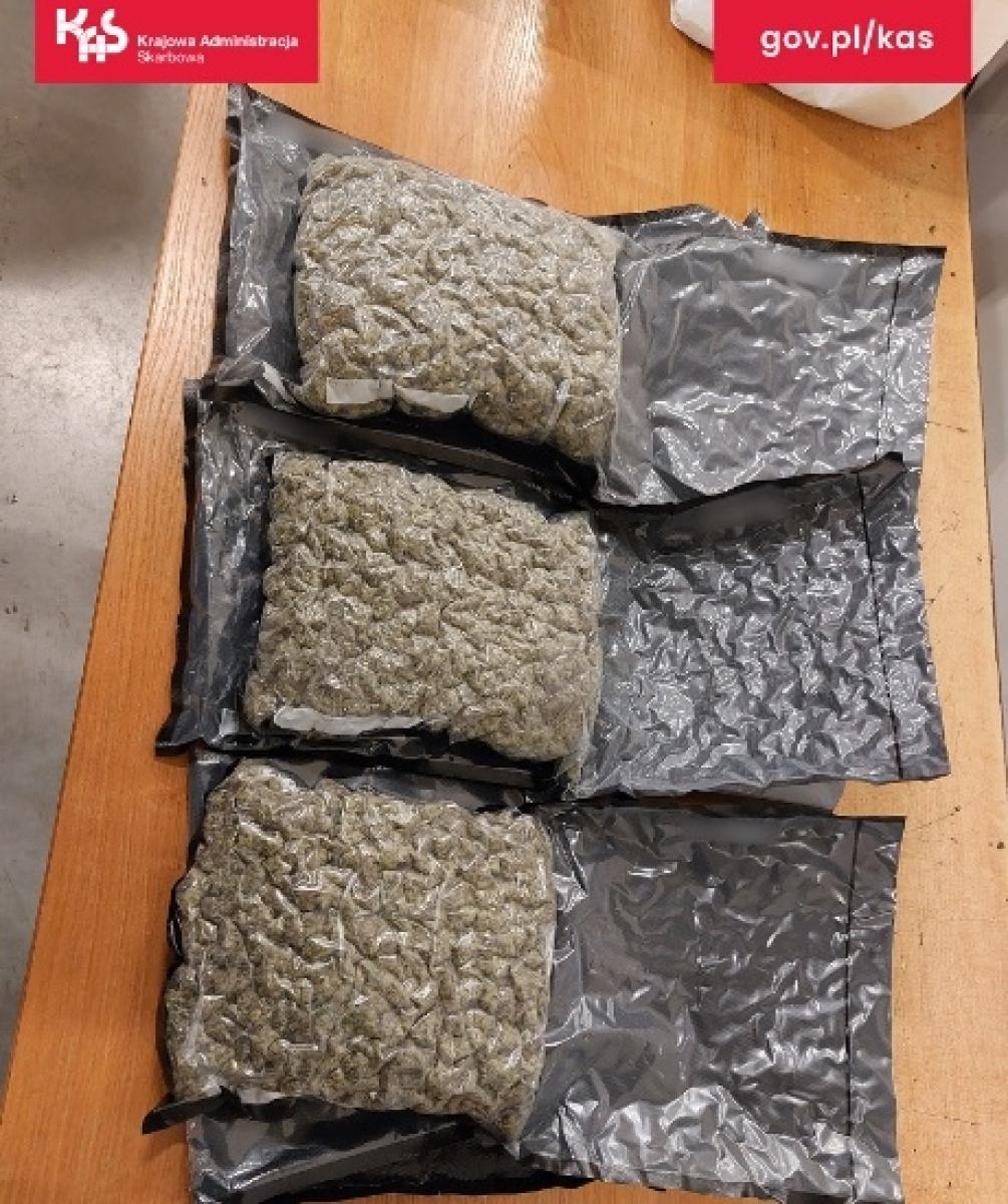 Zdjęcie w galerii na portalu naszraciborz.pl: Czworonożny funkcjonariusz Kodi ujawnił przemyt wiadomości z regionu